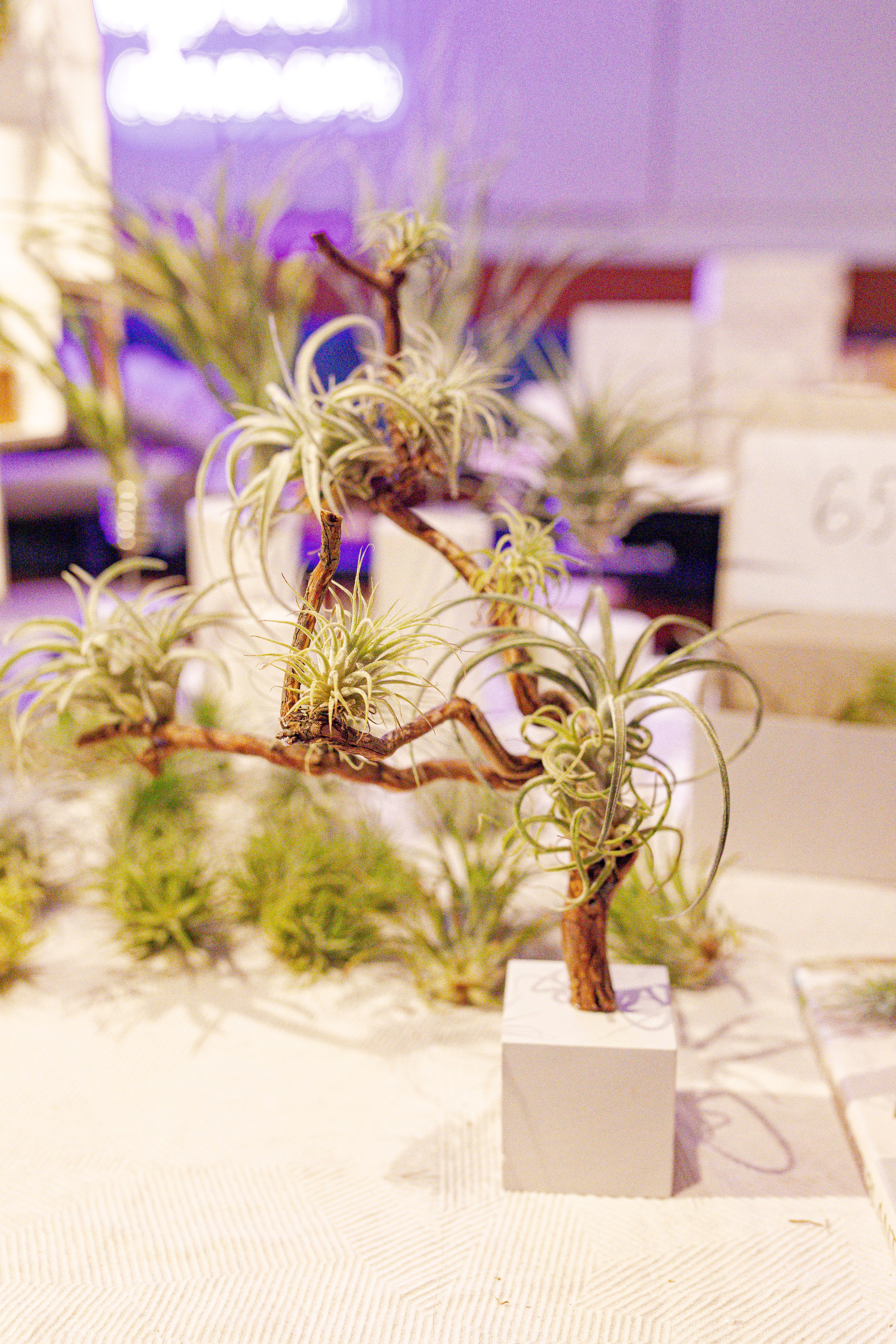 Growbox 1–2 марта. Александра Куликова фотограф, Москва