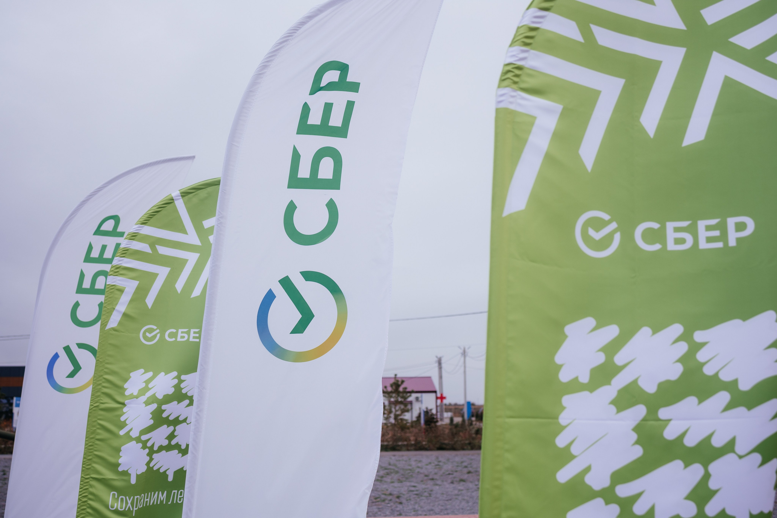 Сохраним лес. Фотограф Крохин Олег