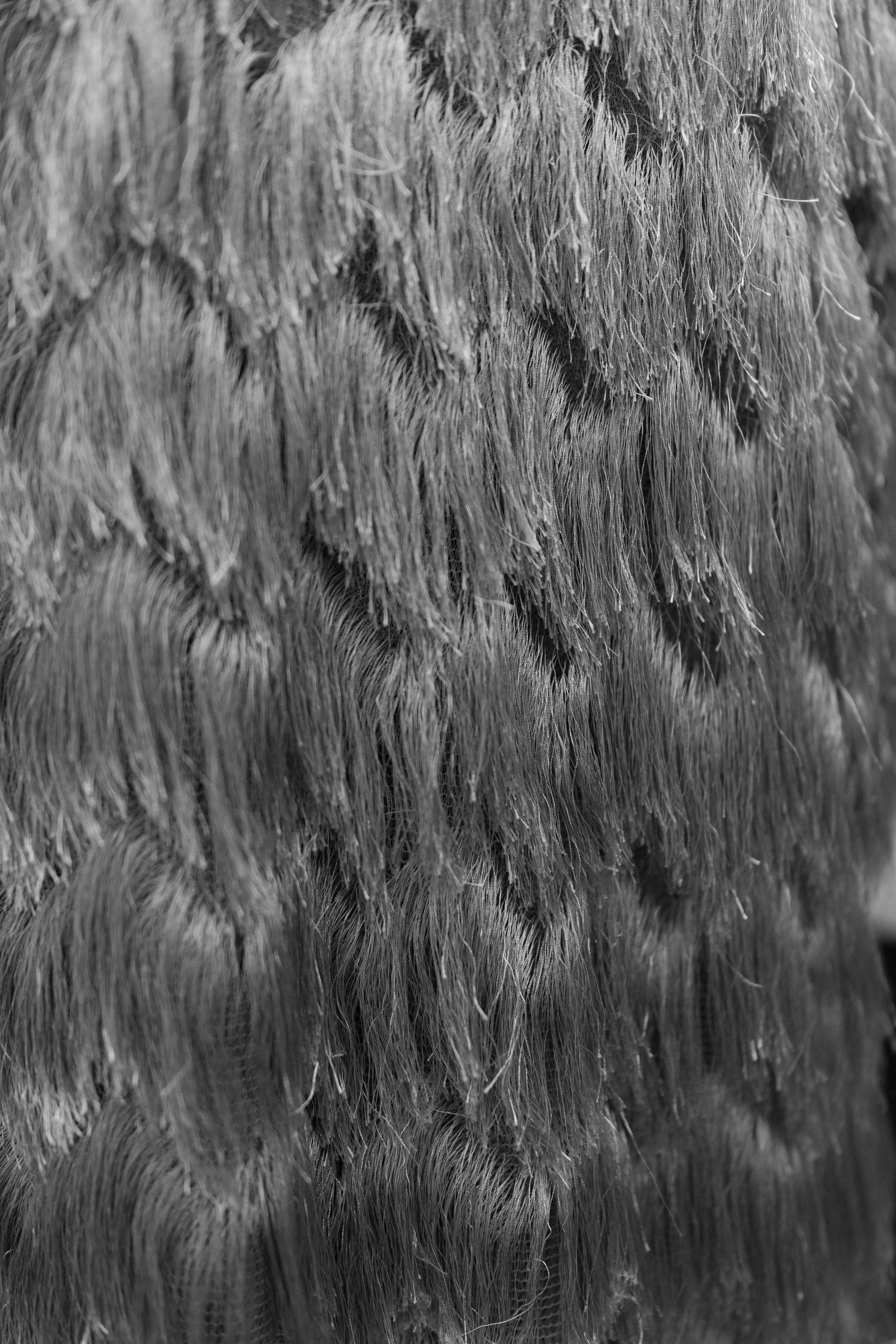 Коля и Даша. Ланемец Юлия — фотограф Волгоград/Волжский