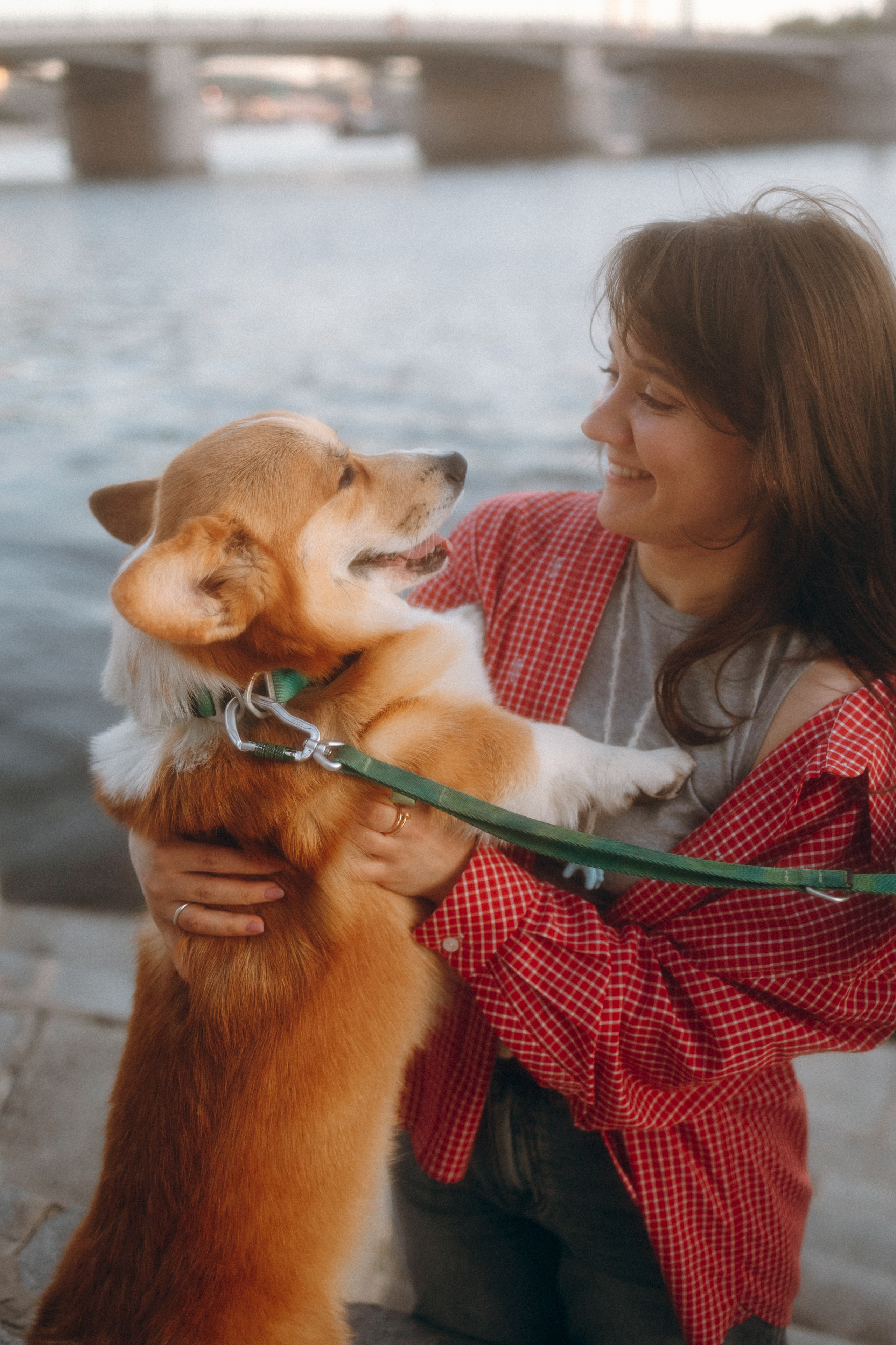Момо, Люда и Эд. Фотограф анималист Анастасия Пикей
