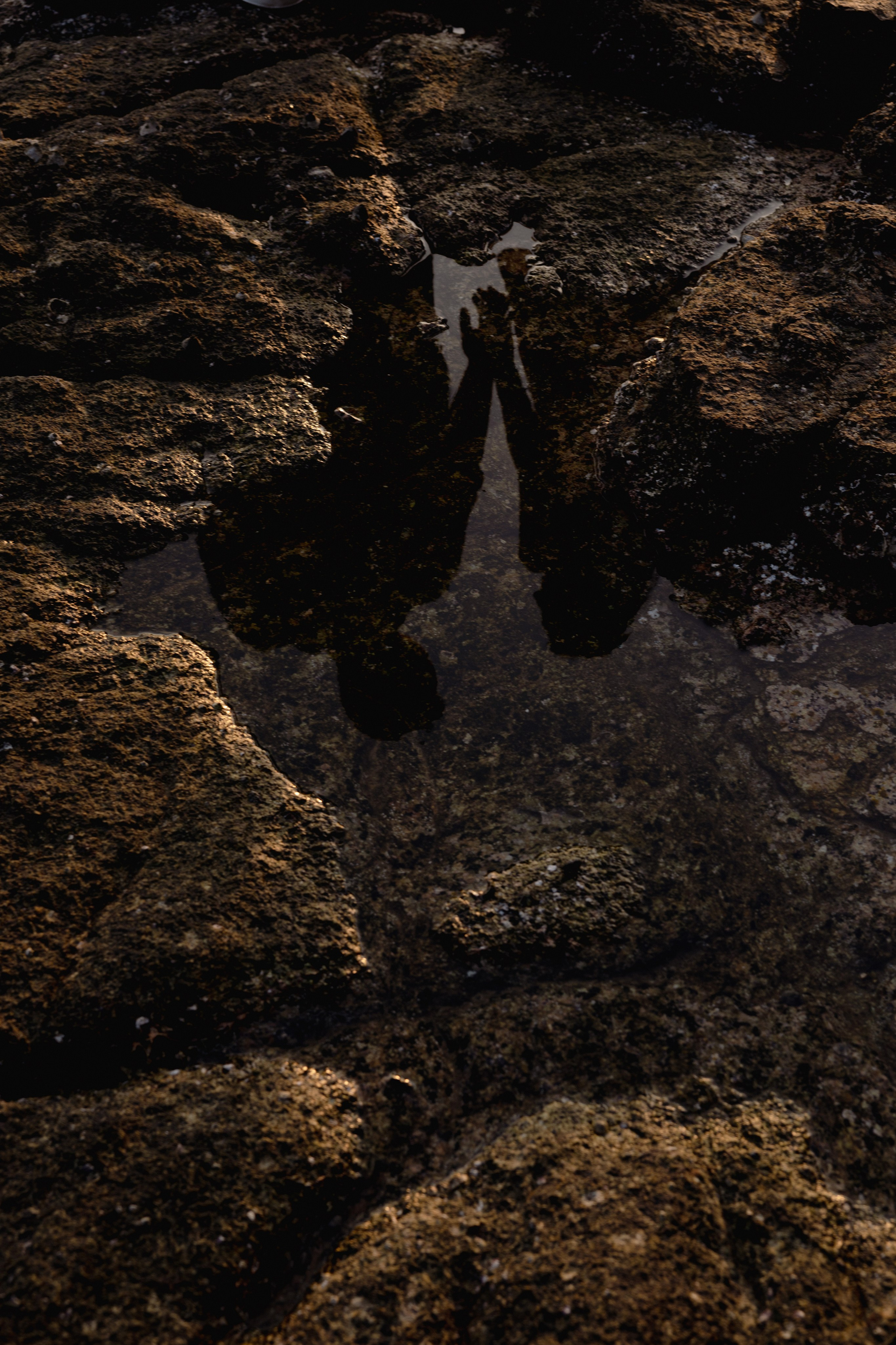 Дамир & Мадина. Свадебный фотограф Костанай/Астана