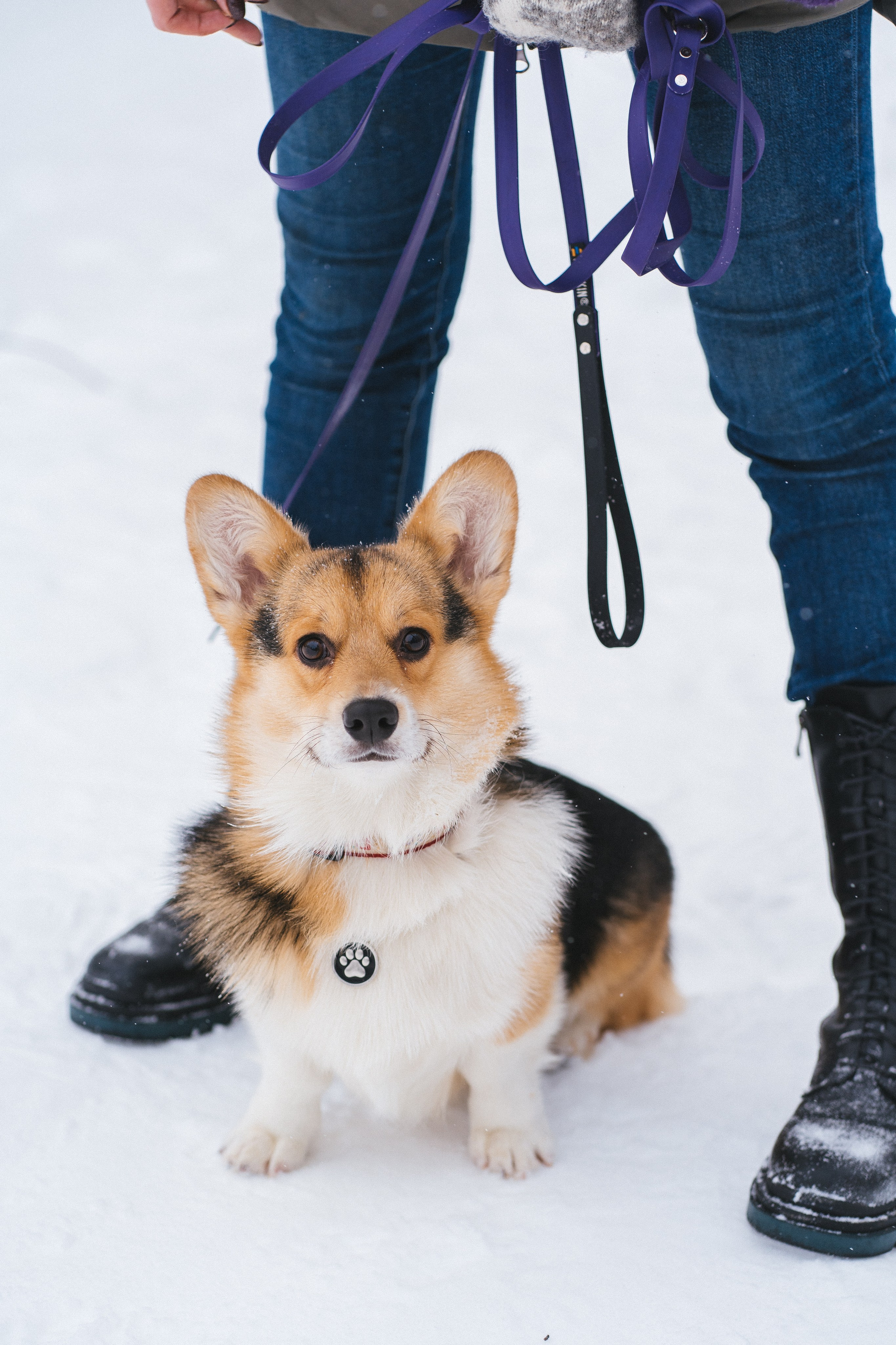 Каспер и Полина. Свадебный фотограф в Москве Анна Полушина