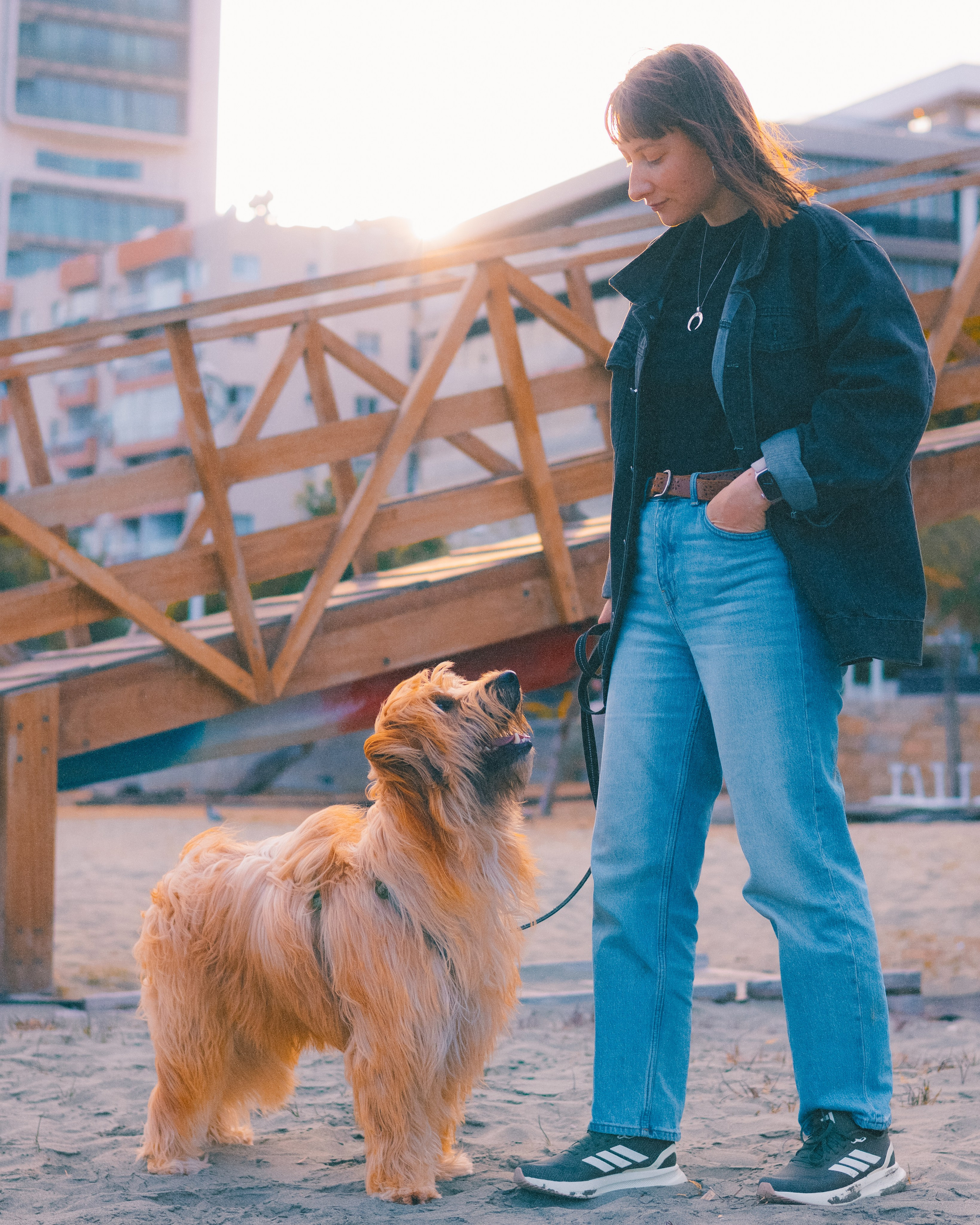 Съемки с питомцами. Фотограф на Кипре Дария Николаева