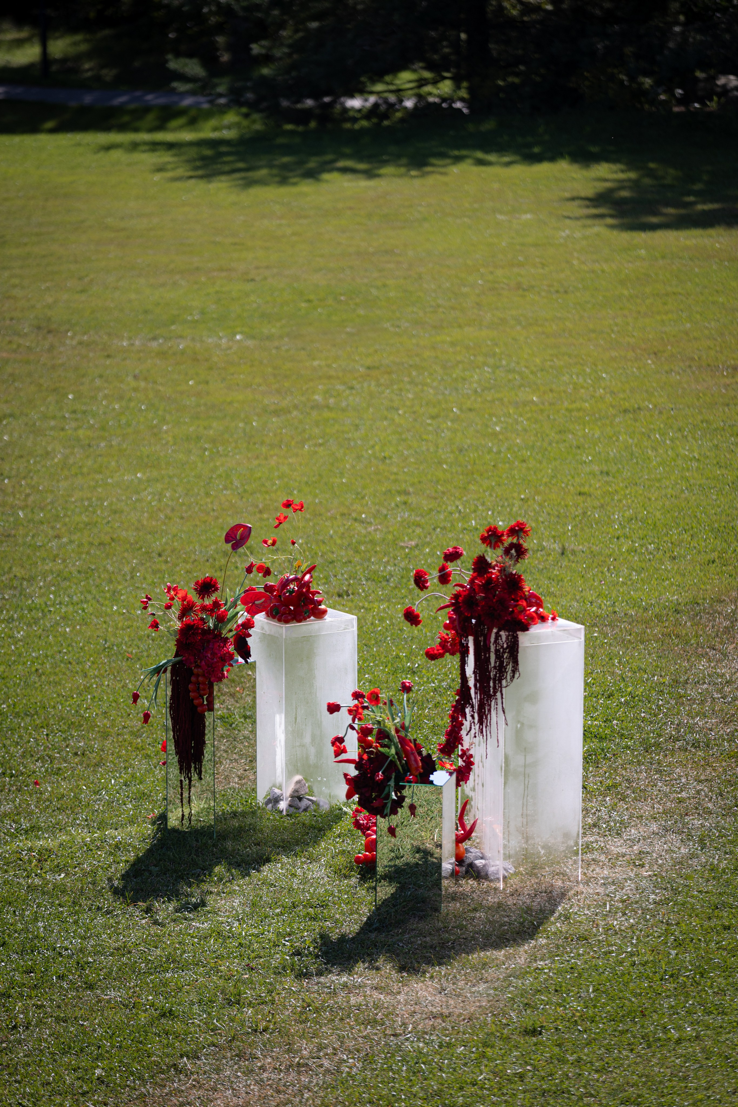 Даниил и Софья. Ваш фотограф — Александра Андрущенко