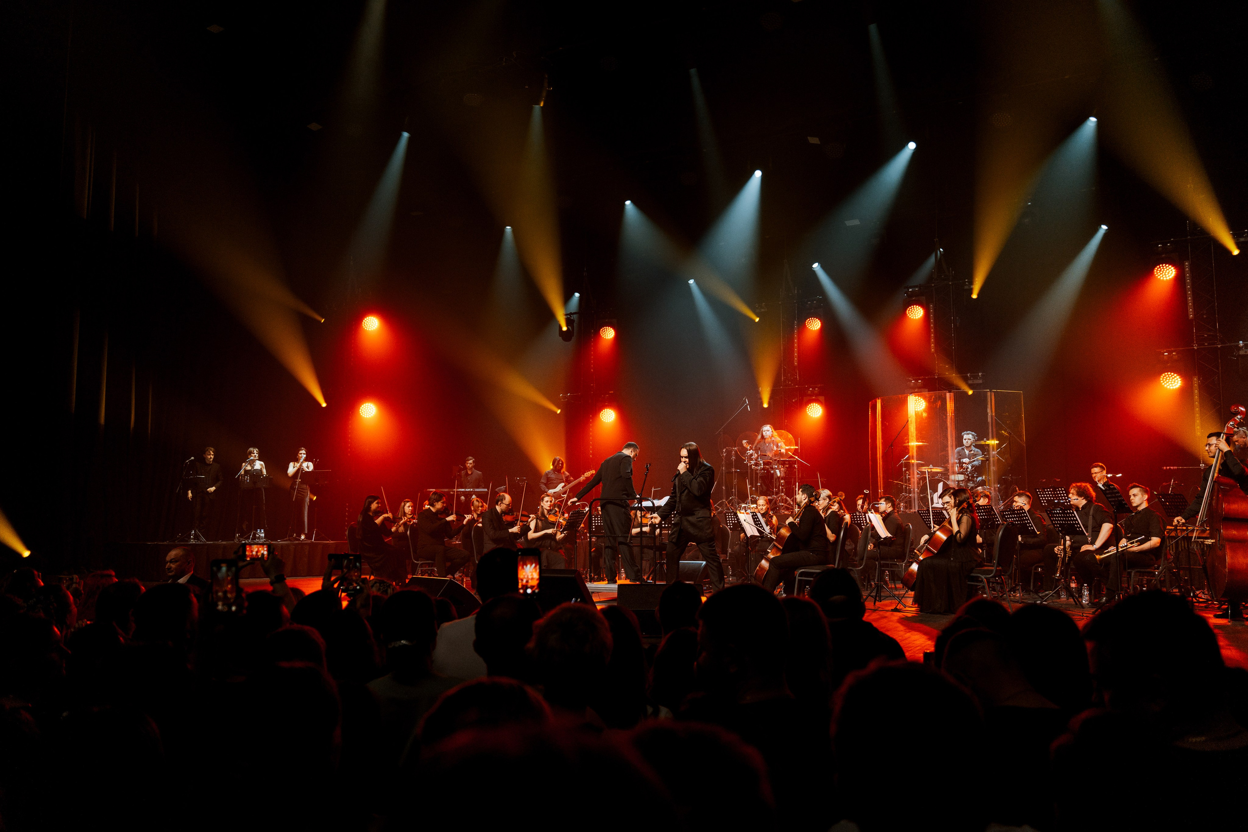 Алексей Горшенёв. Магия музыки в кадре: Концертная Фотография