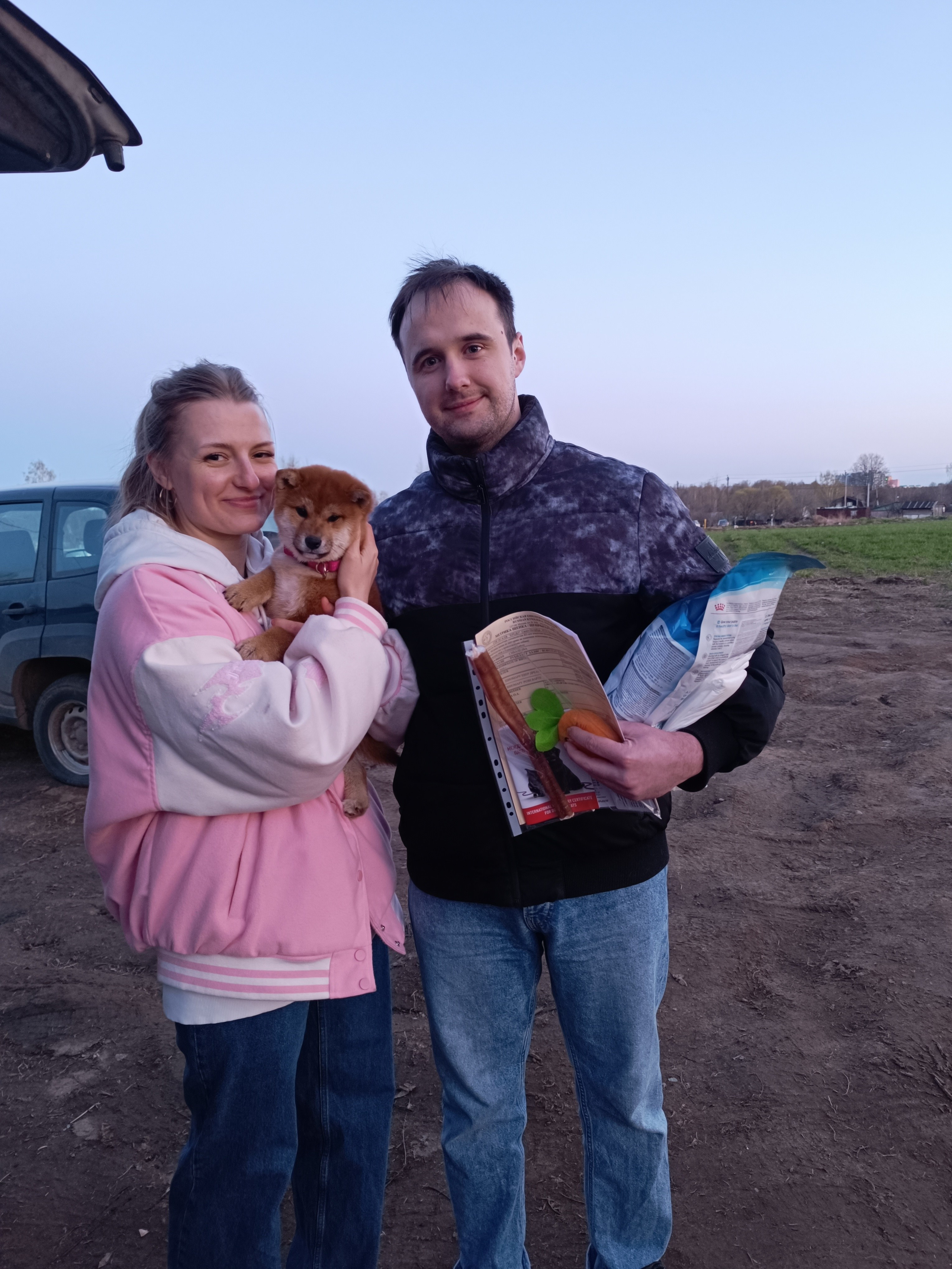 Сиба Rubylight Ellis питомник Рубилайт