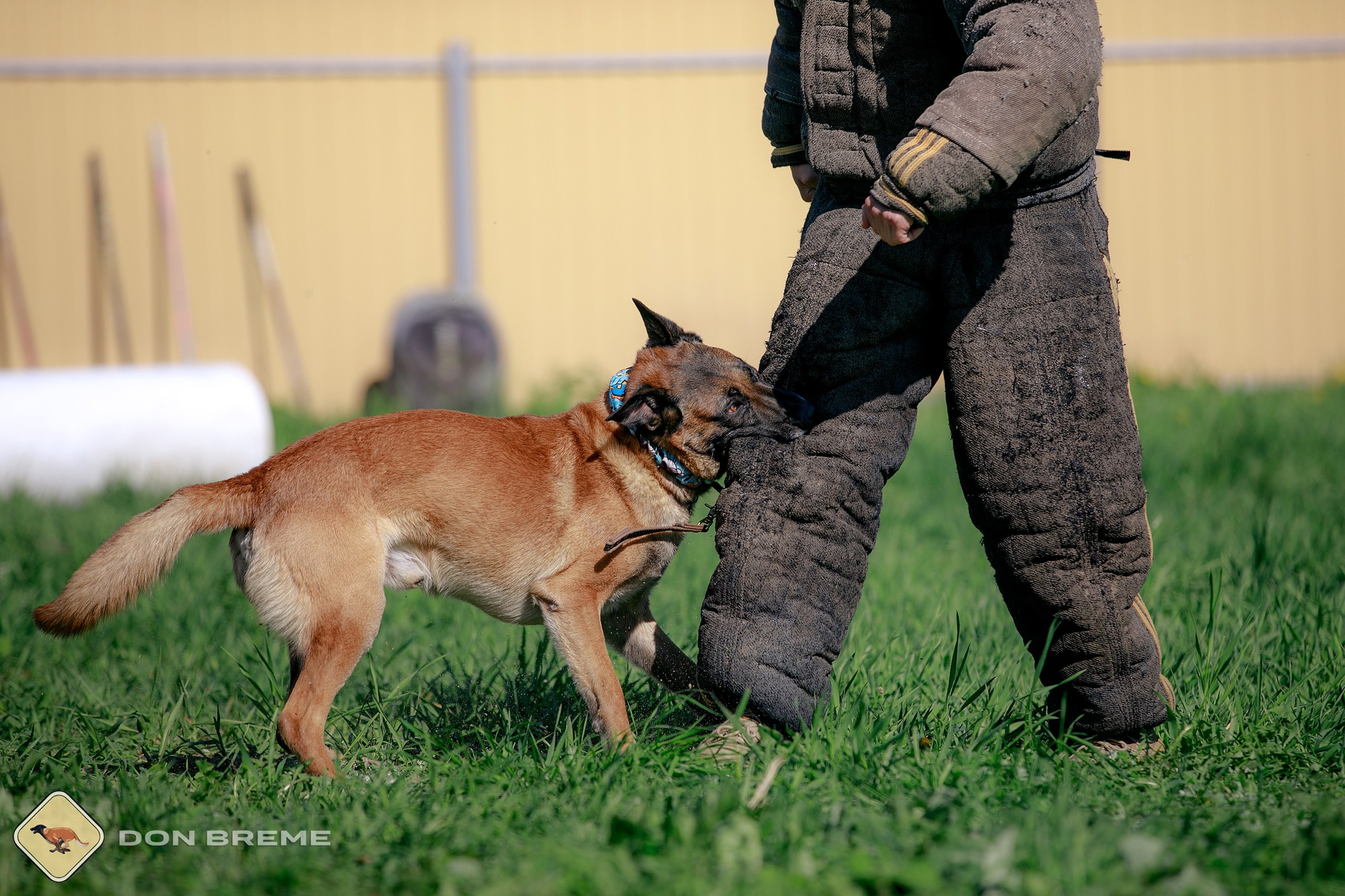 Семинар для фигурантов, день 3. Фотограф-анималист Mary Mart — Москва, Питер