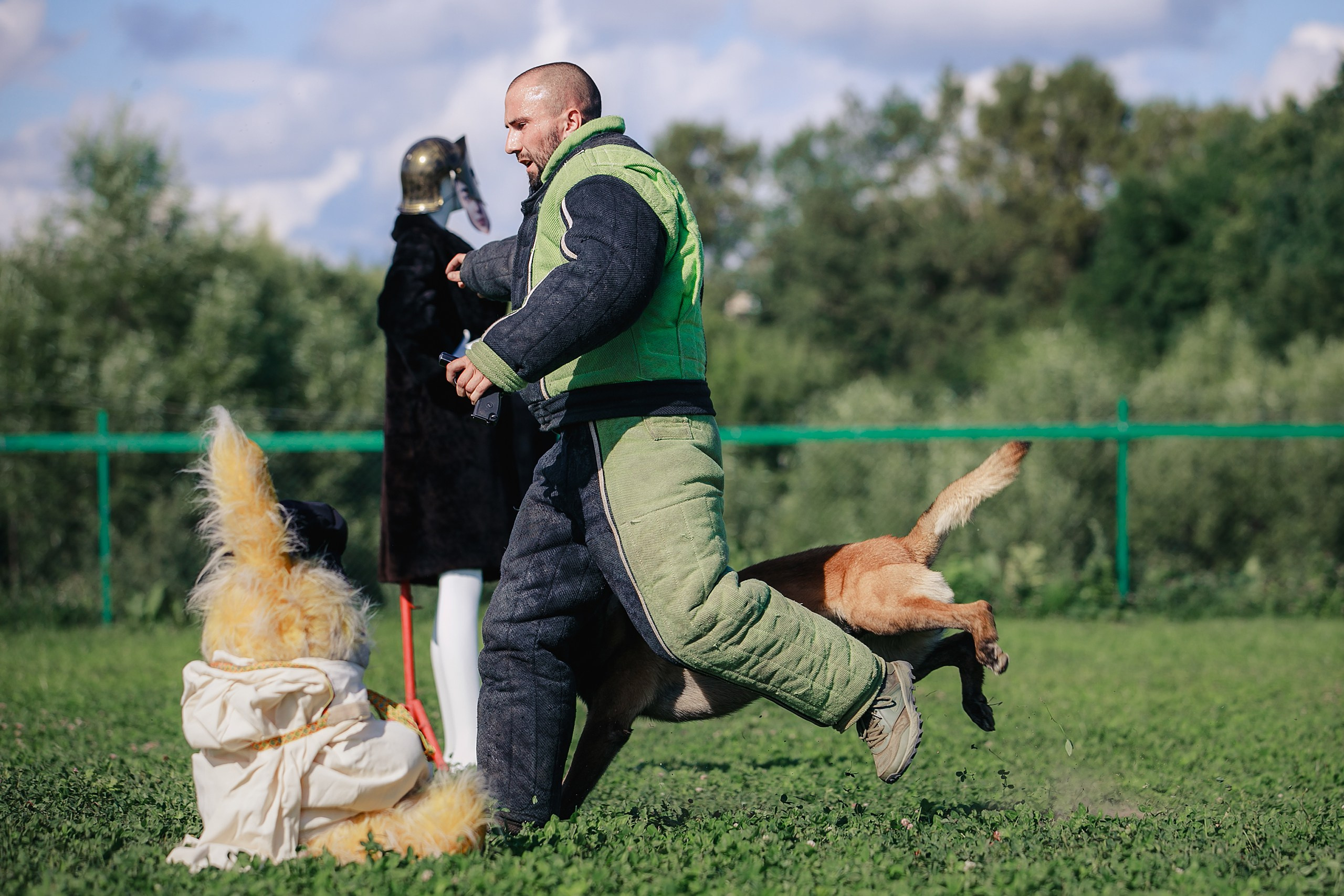 Мондьоринг М1, М2, М3, Вологда. Фотограф-анималист Mary Mart — Москва, Питер