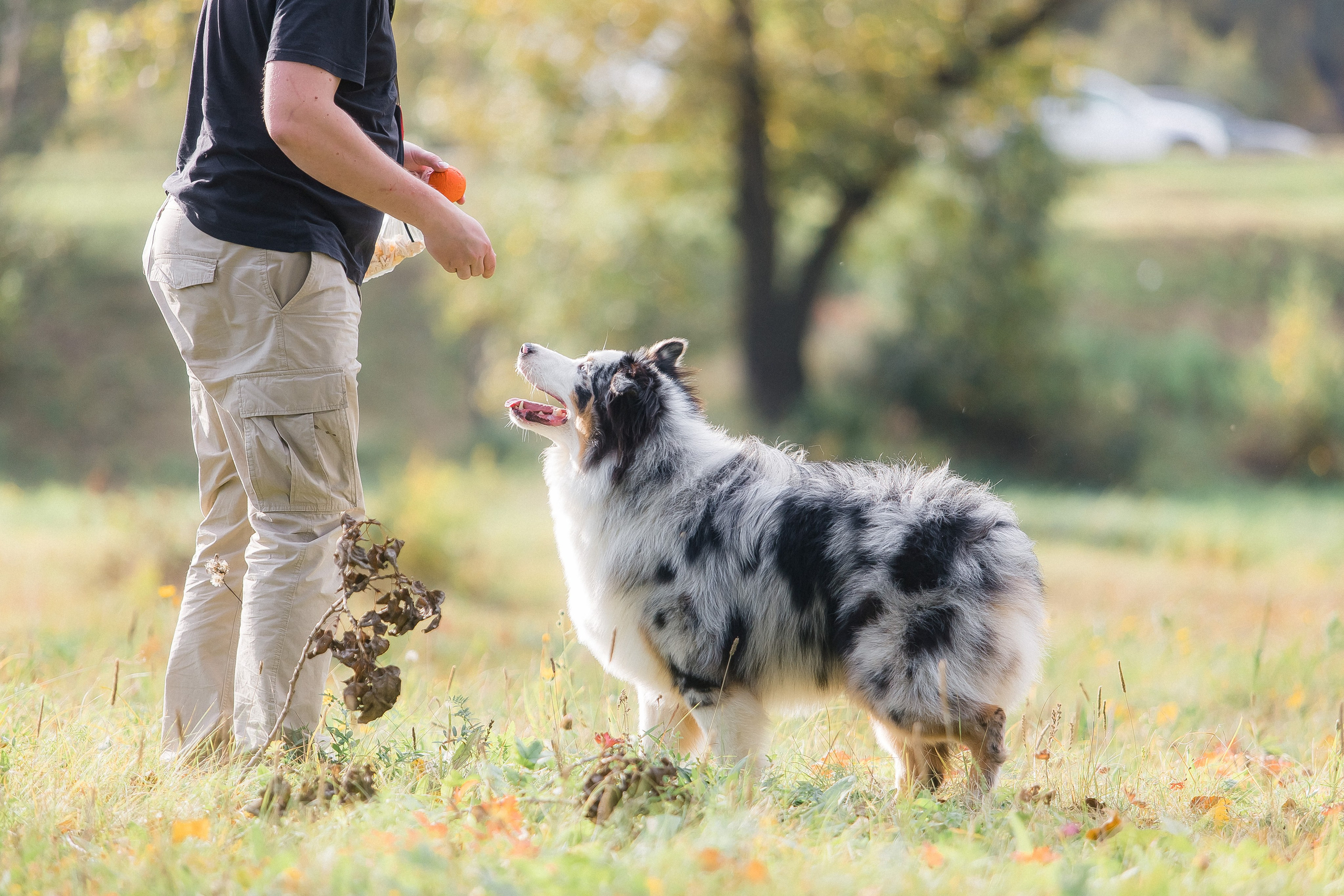 Аусси Дэймон. Свадебный и женский фотограф