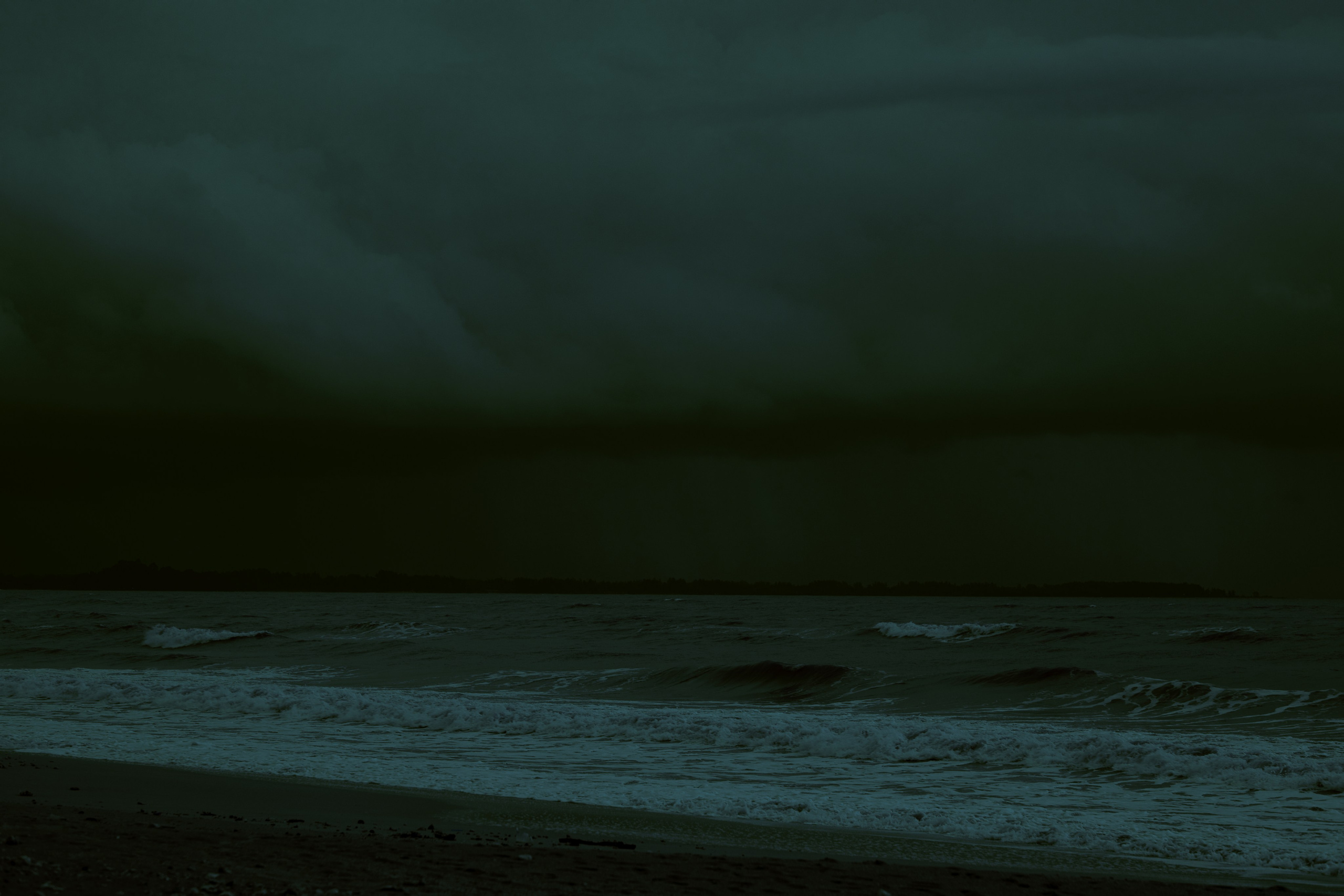 Portfolio. @beingabird.photography