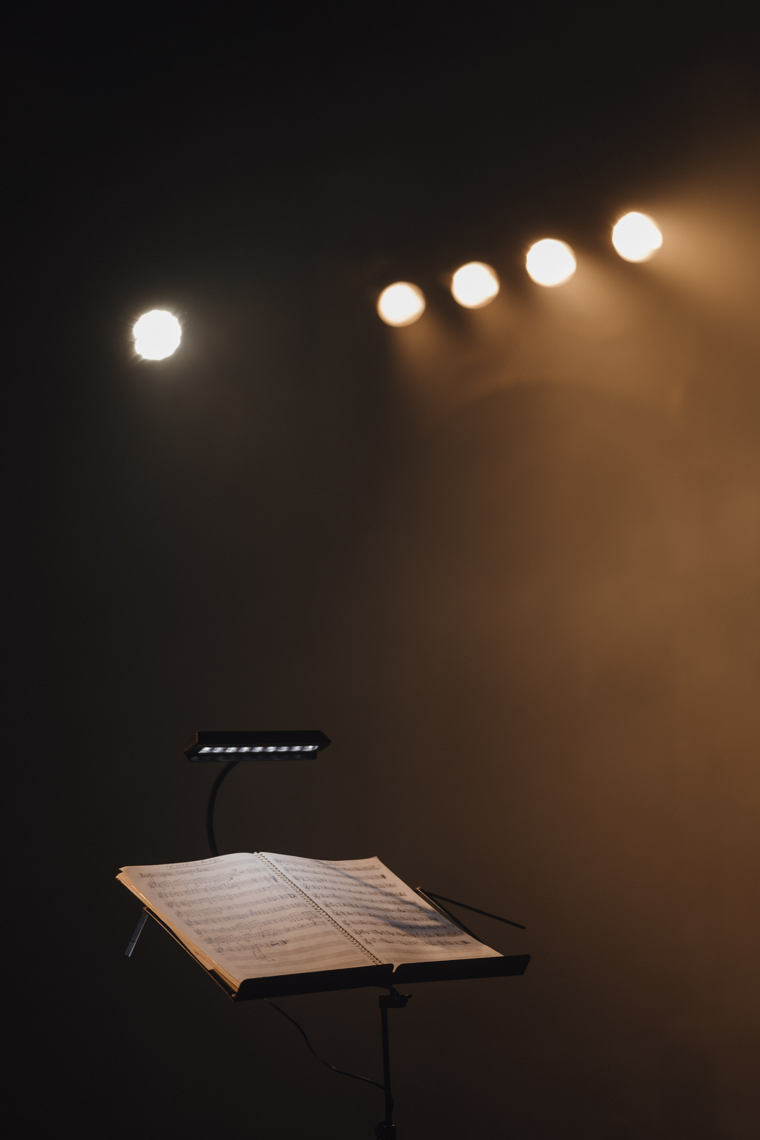 Rock Evolution 03.04.24. Свадебный фотограф в Краснодаре и Сочи Винидиктова Екатерина