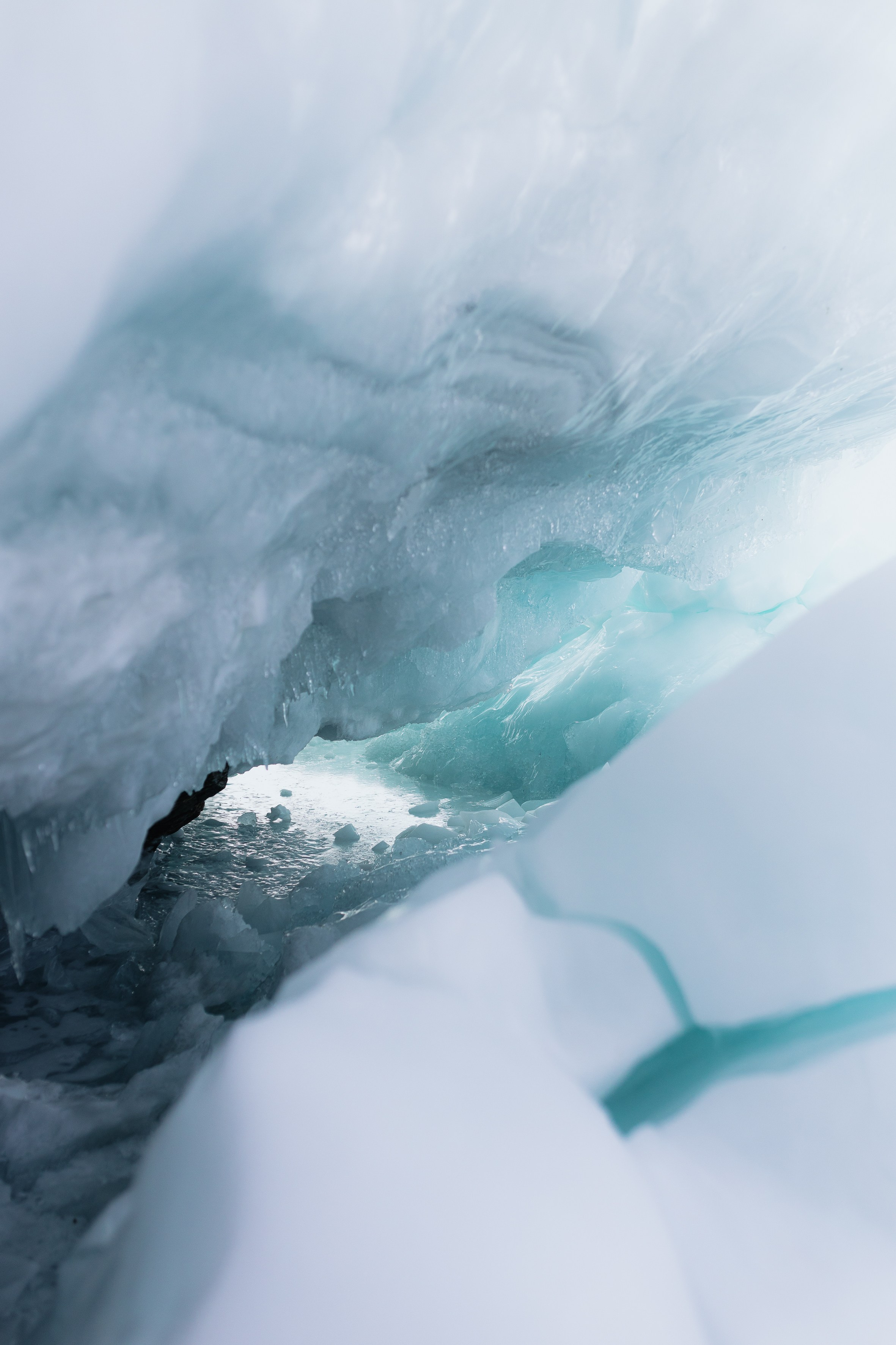 Полина Фаворская. Фотограф Ольхон/ Индия, Регина