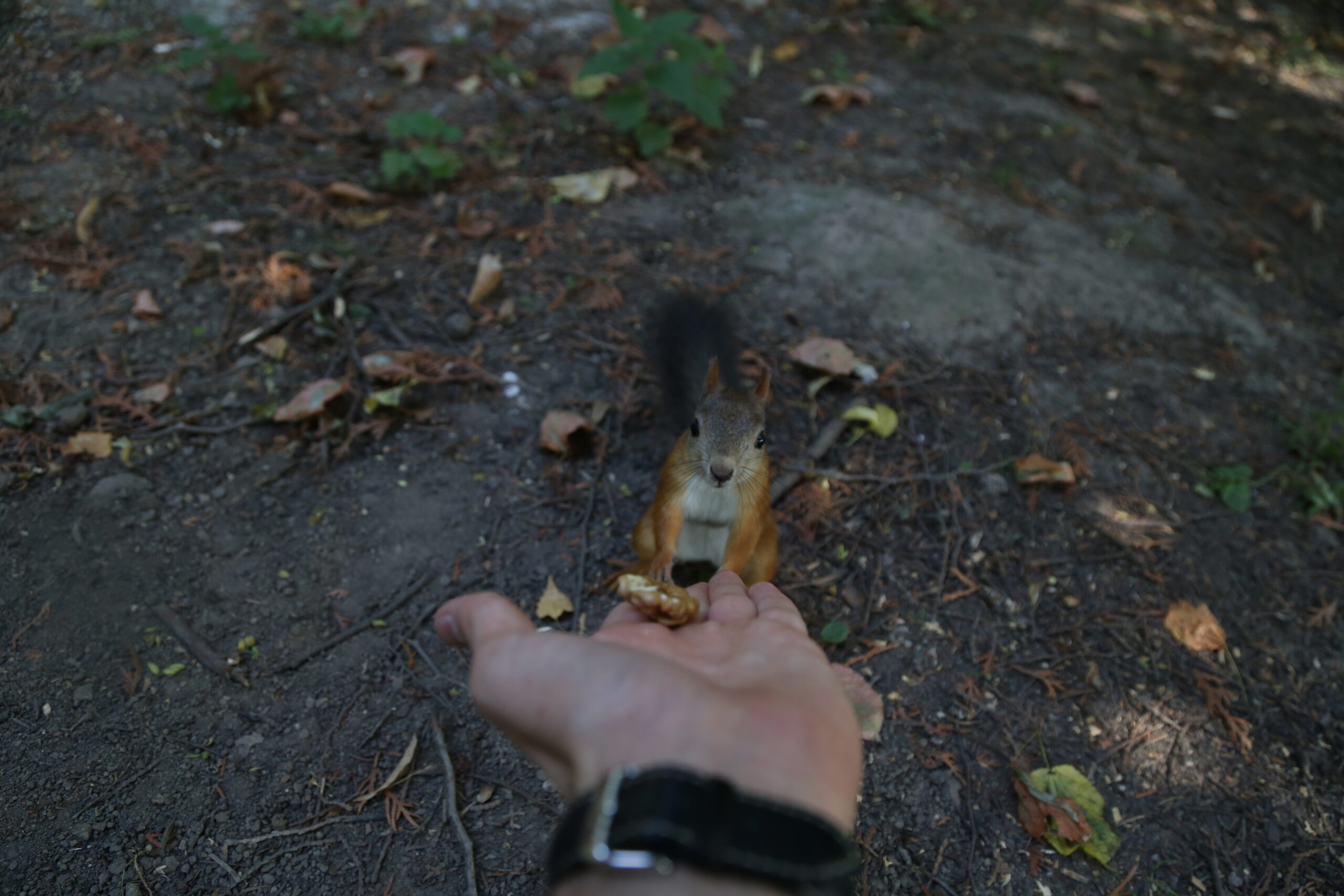 Landscape. Noam Paradise Photographer