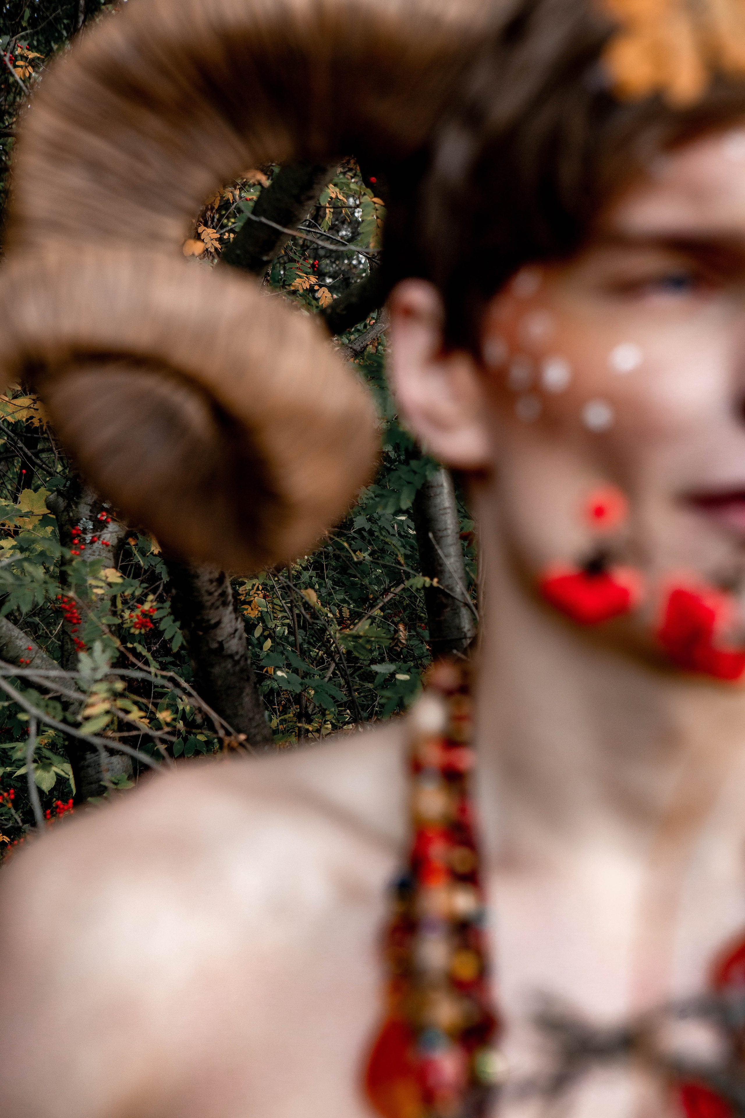 Волшебный лес. Фотограф Екатерина Голицына