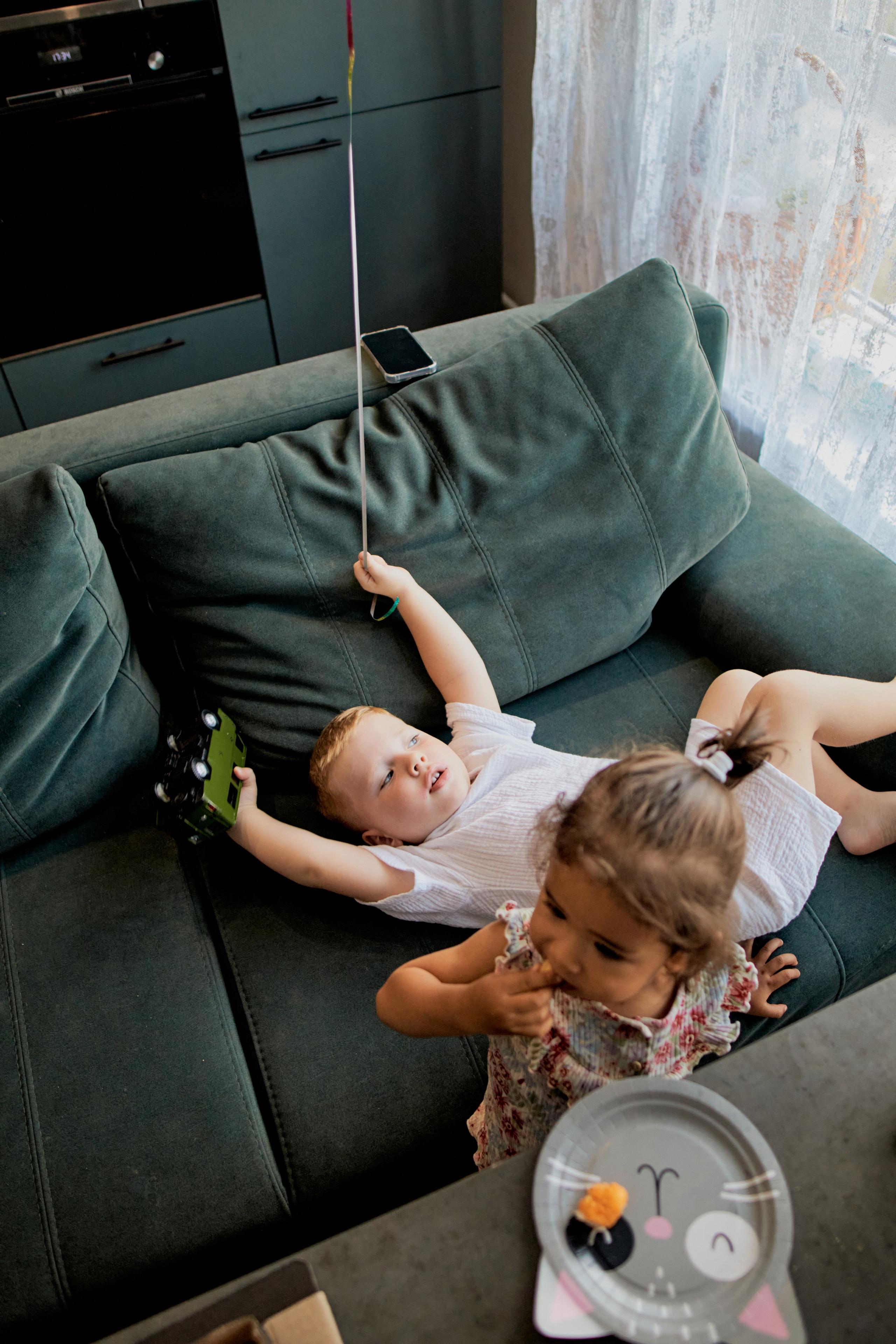 Три кота. Фотограф Москва