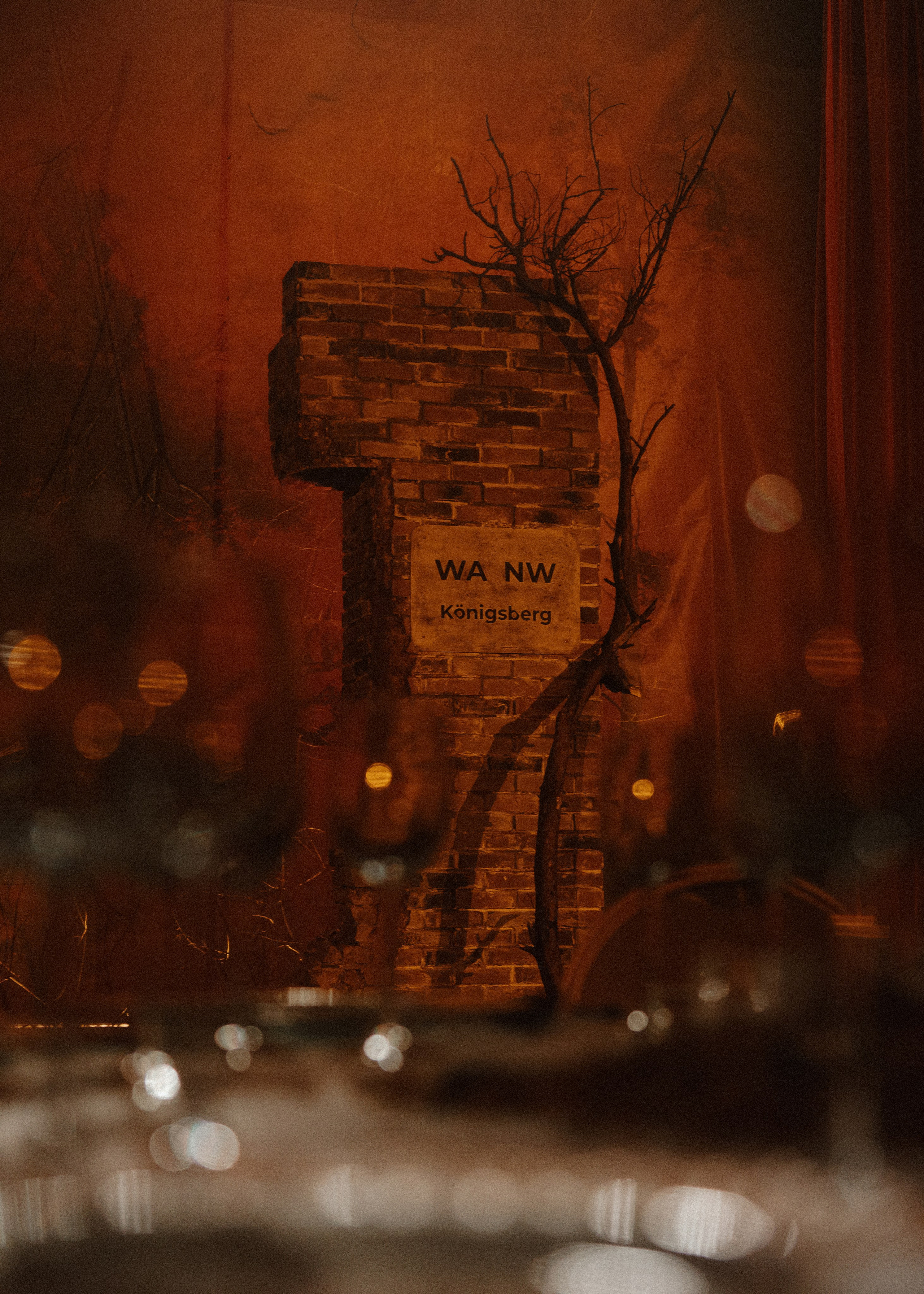 Wedding Awards Северо-Запад. Свадебный и репортажный фотограф в Москве Владимир Сергеев | Naysaikolo