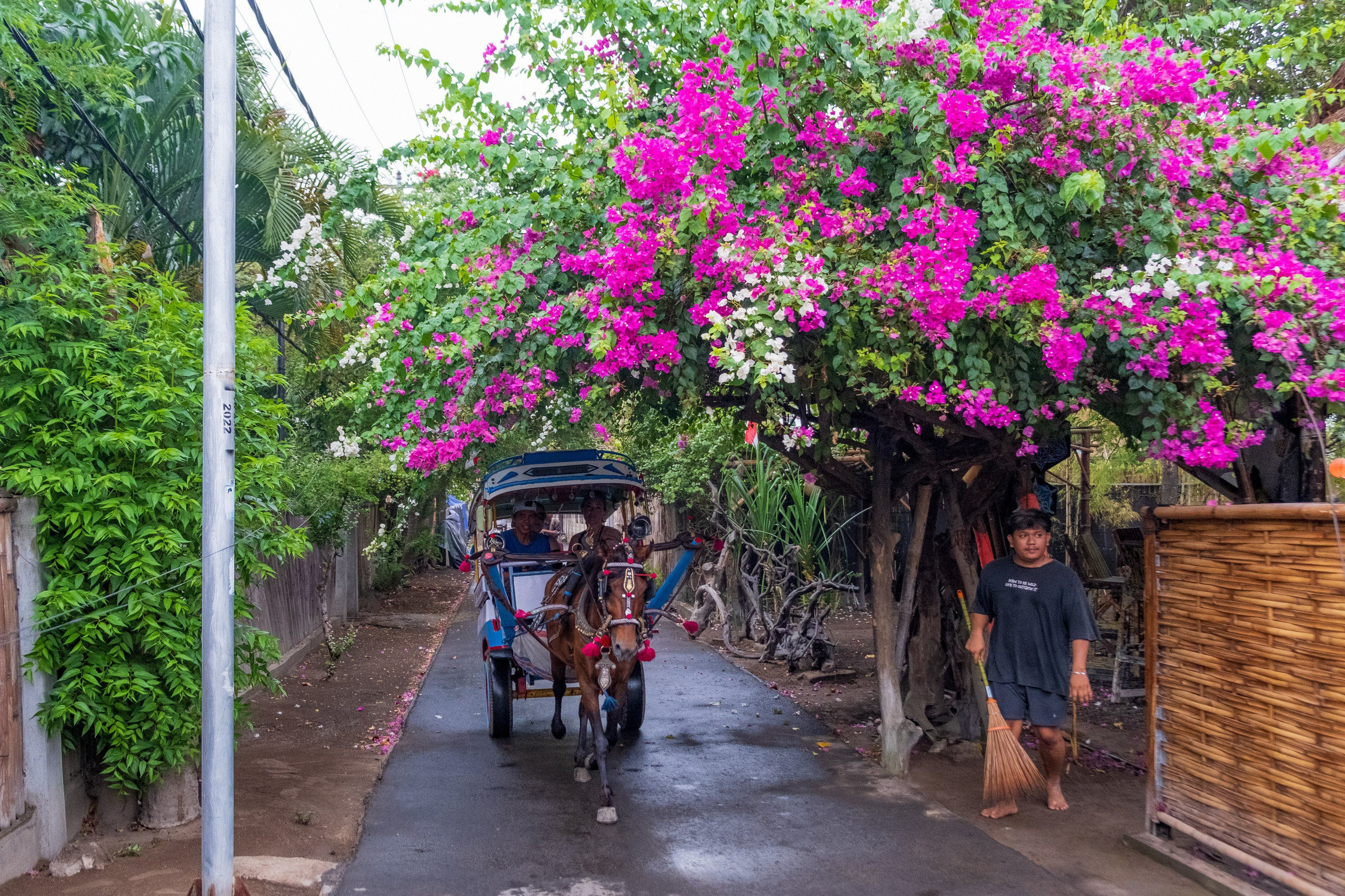 Остров Гили Эйр. Фотографии из путешествий