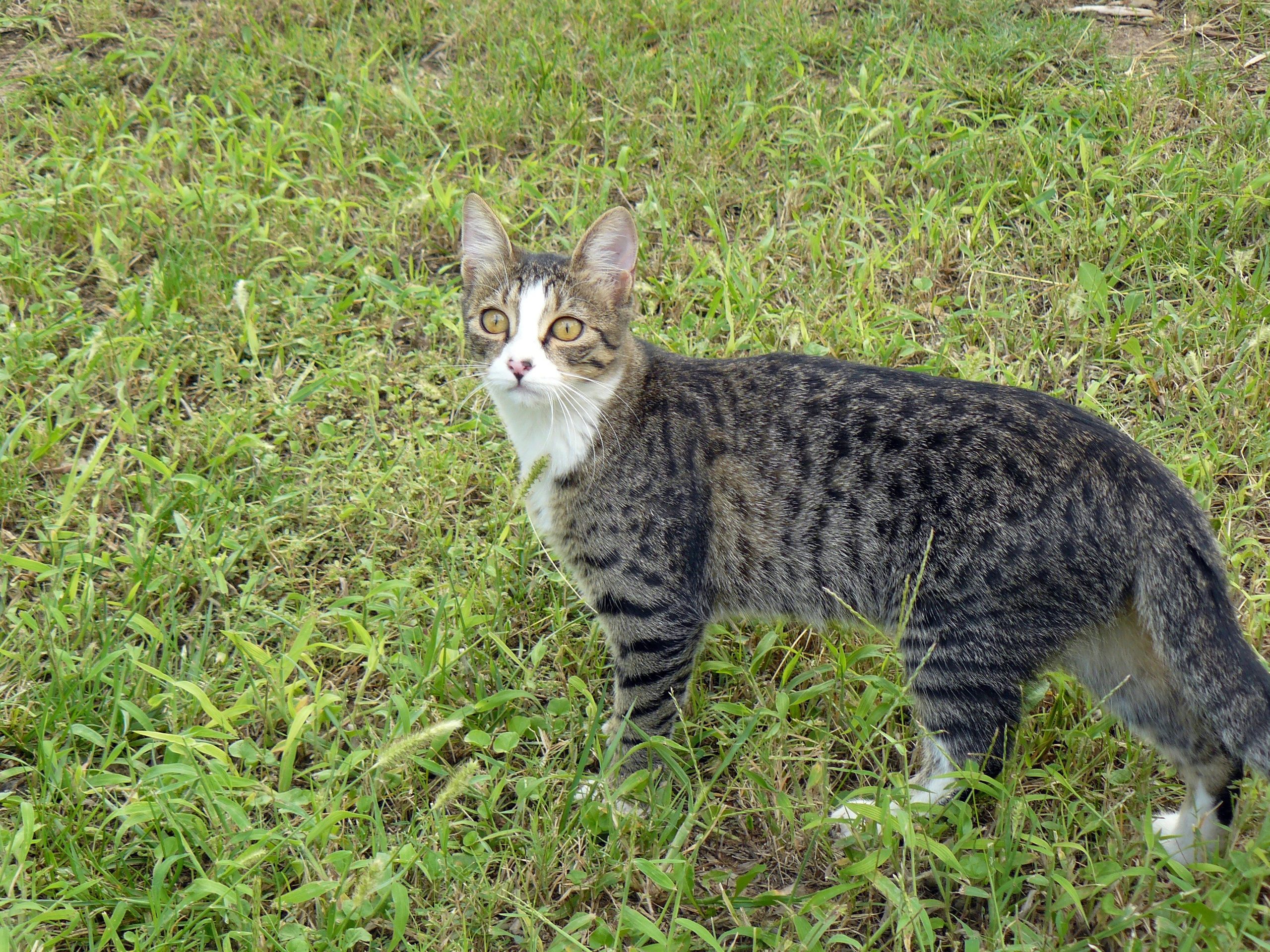 Кемер, Чамьюва 2008. Избранные фотографии