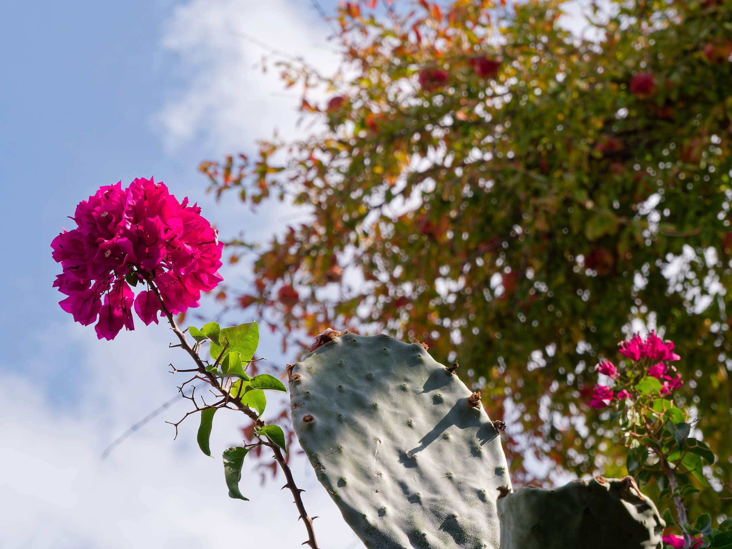 Алания 2025, крепость Alanya Kalesi. Избранные фотографии