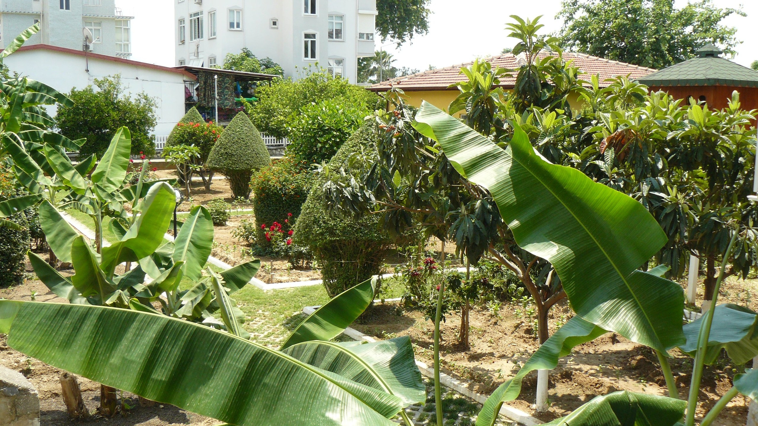 Алания 2015 отель, город. Фотопрогулки по Миру