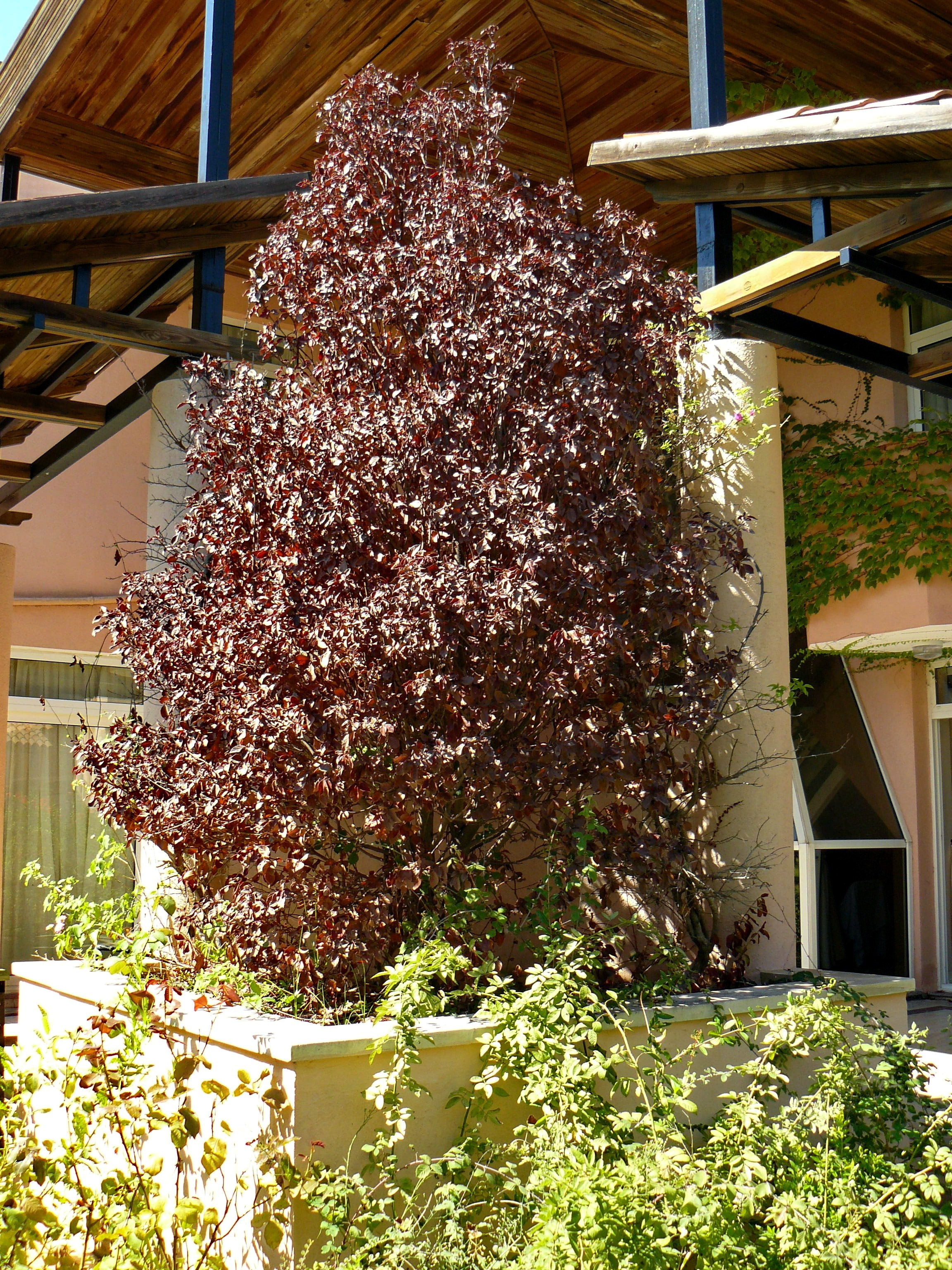 Кемер, Чамьюва 2008. Избранные фотографии