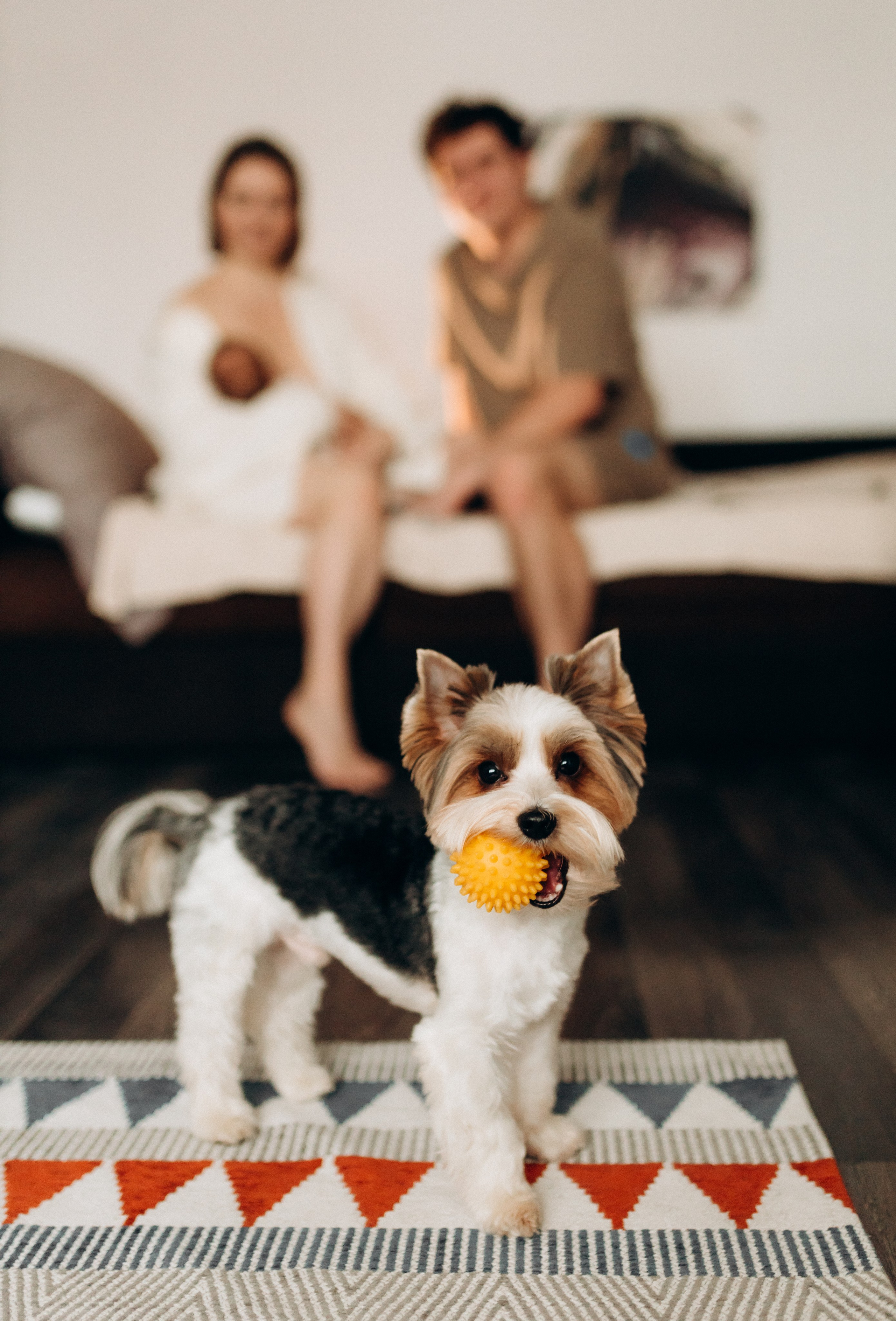 Дома с малышами. Семейный и парный фотограф Мария Куцко