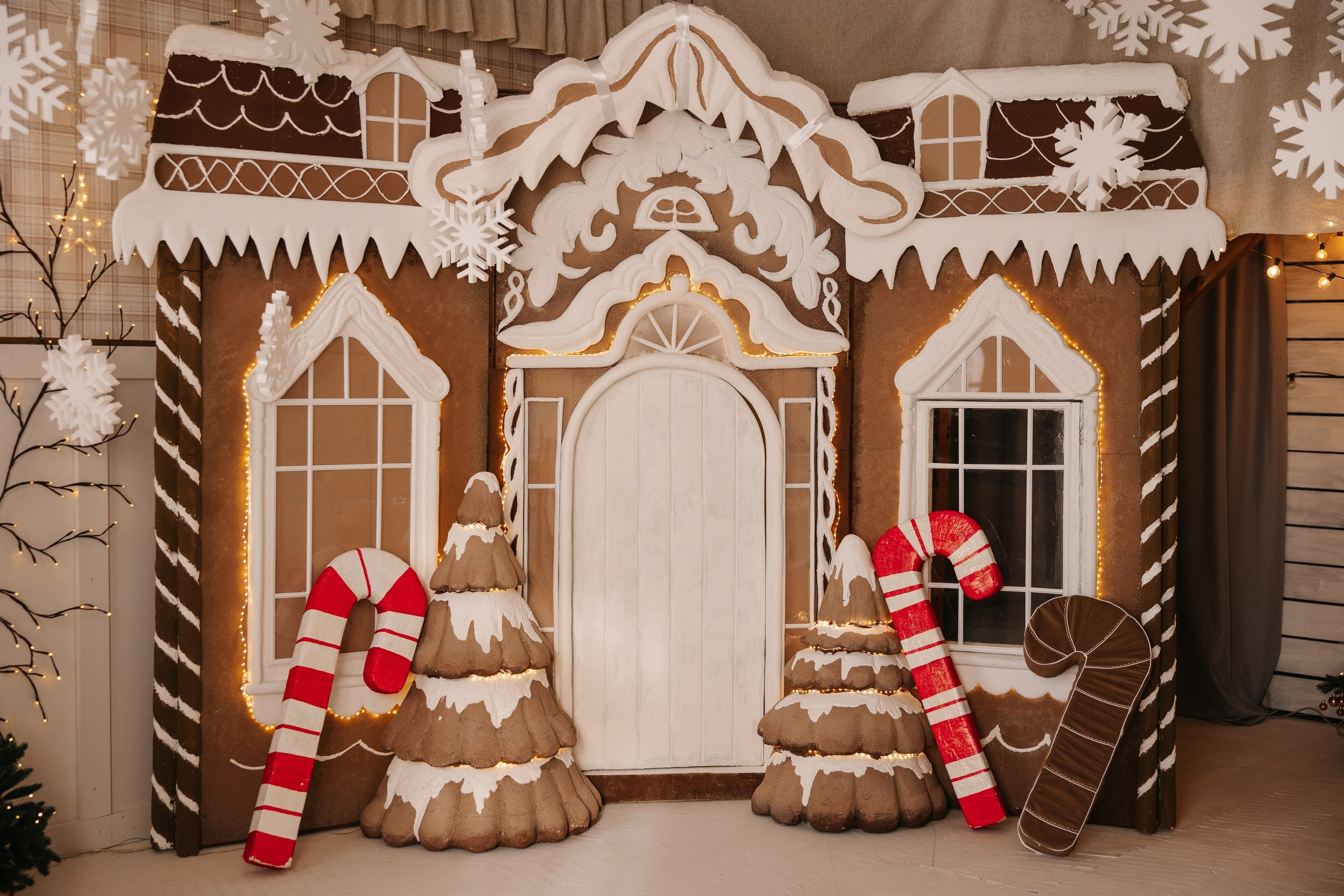 Фотостудии «Новый год 2026 год». Женский, семейный и детский фотограф в Тюмени Диана Осипова