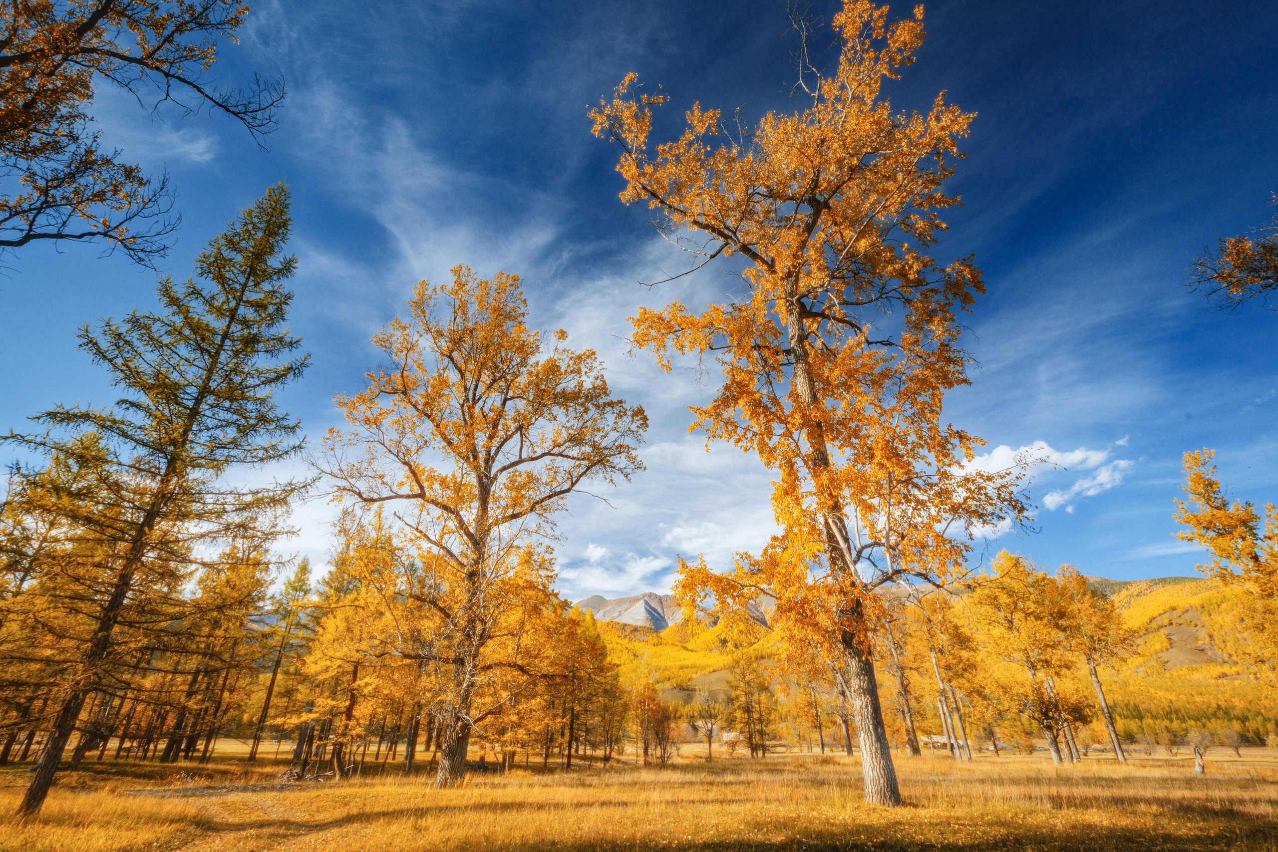 Бурятия. Владимир Смирнов | Интерьер Индастриал Репортаж | Иркутск