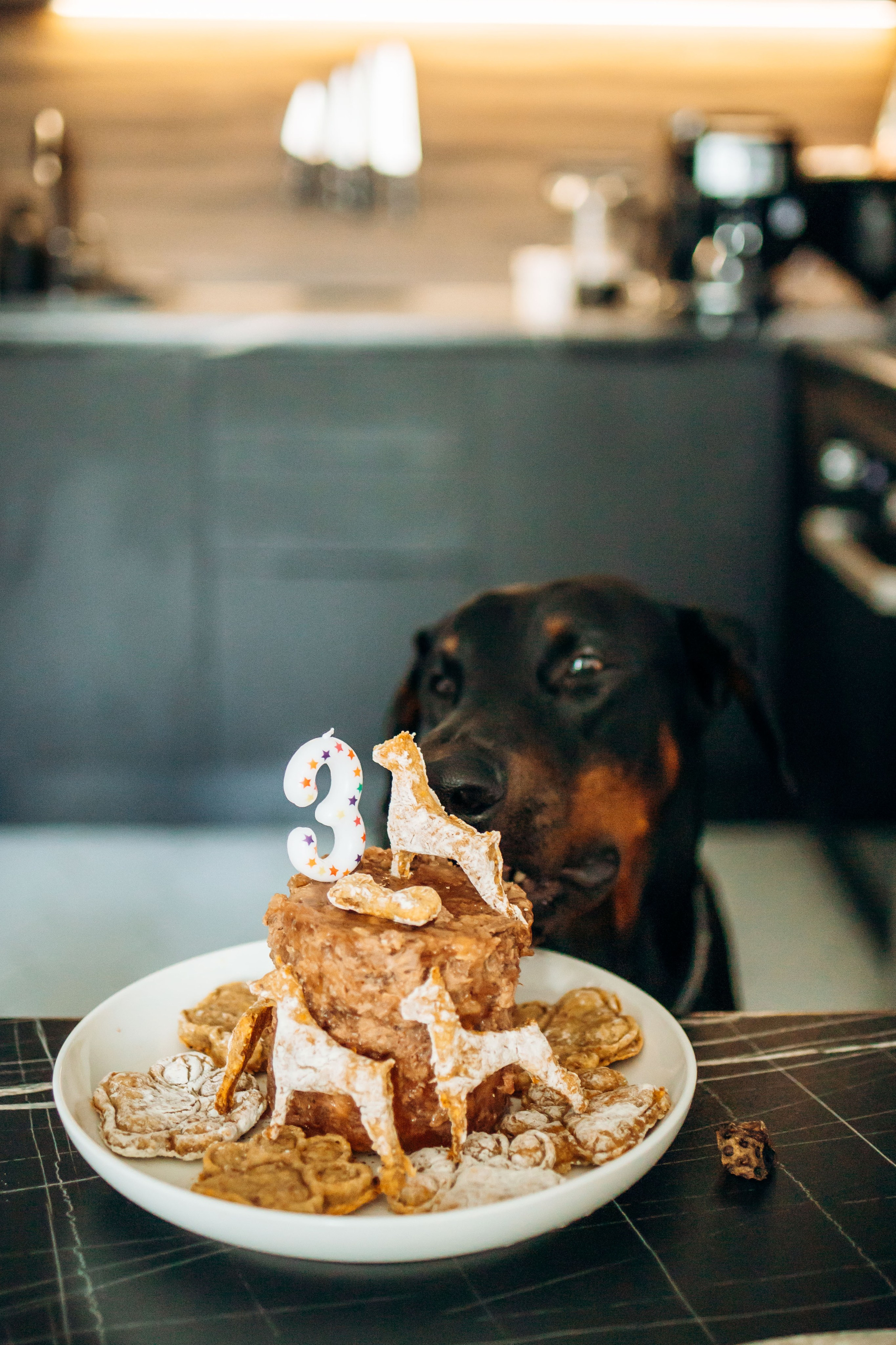 Катя и Конор