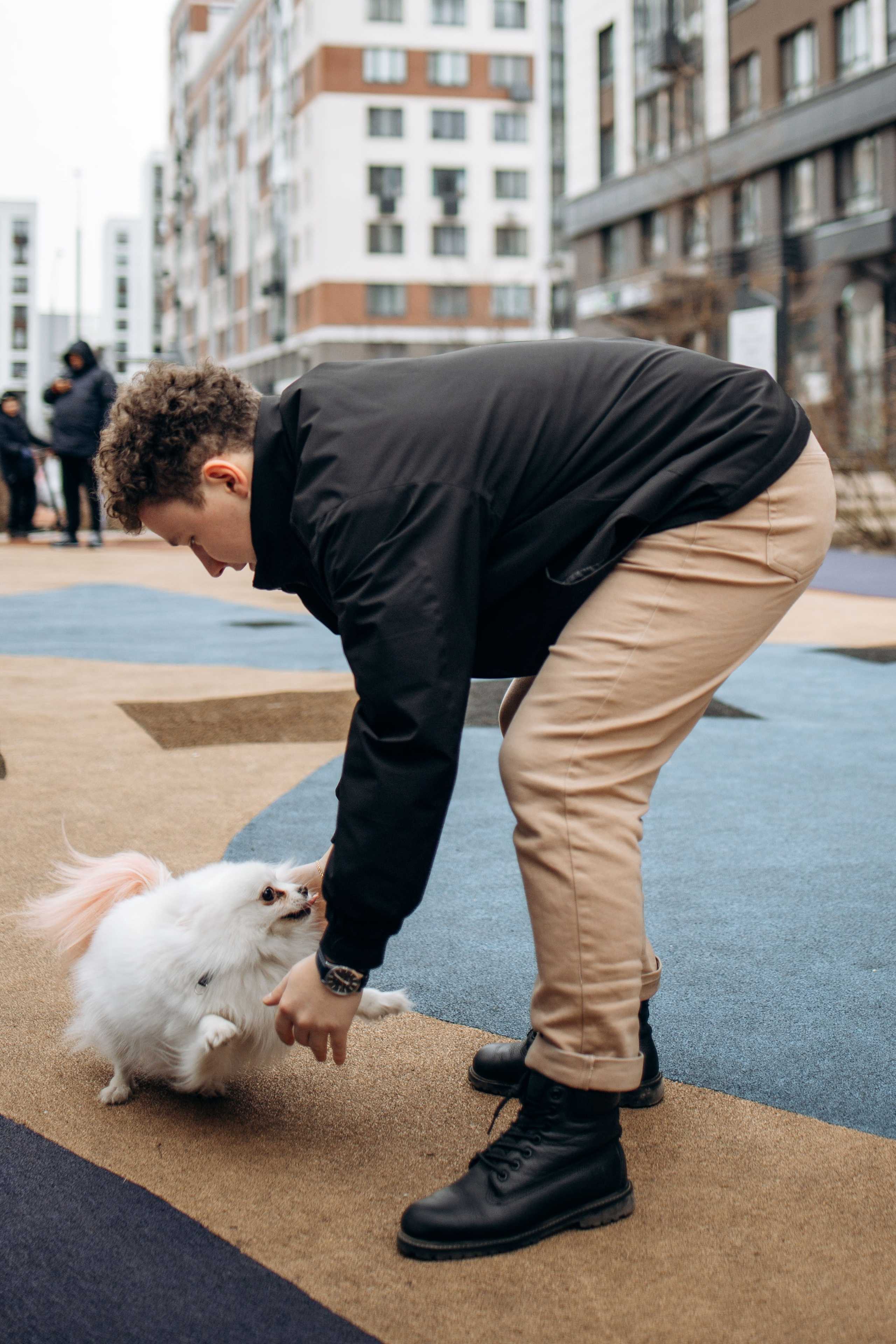 Шпиц Мася и ее семья