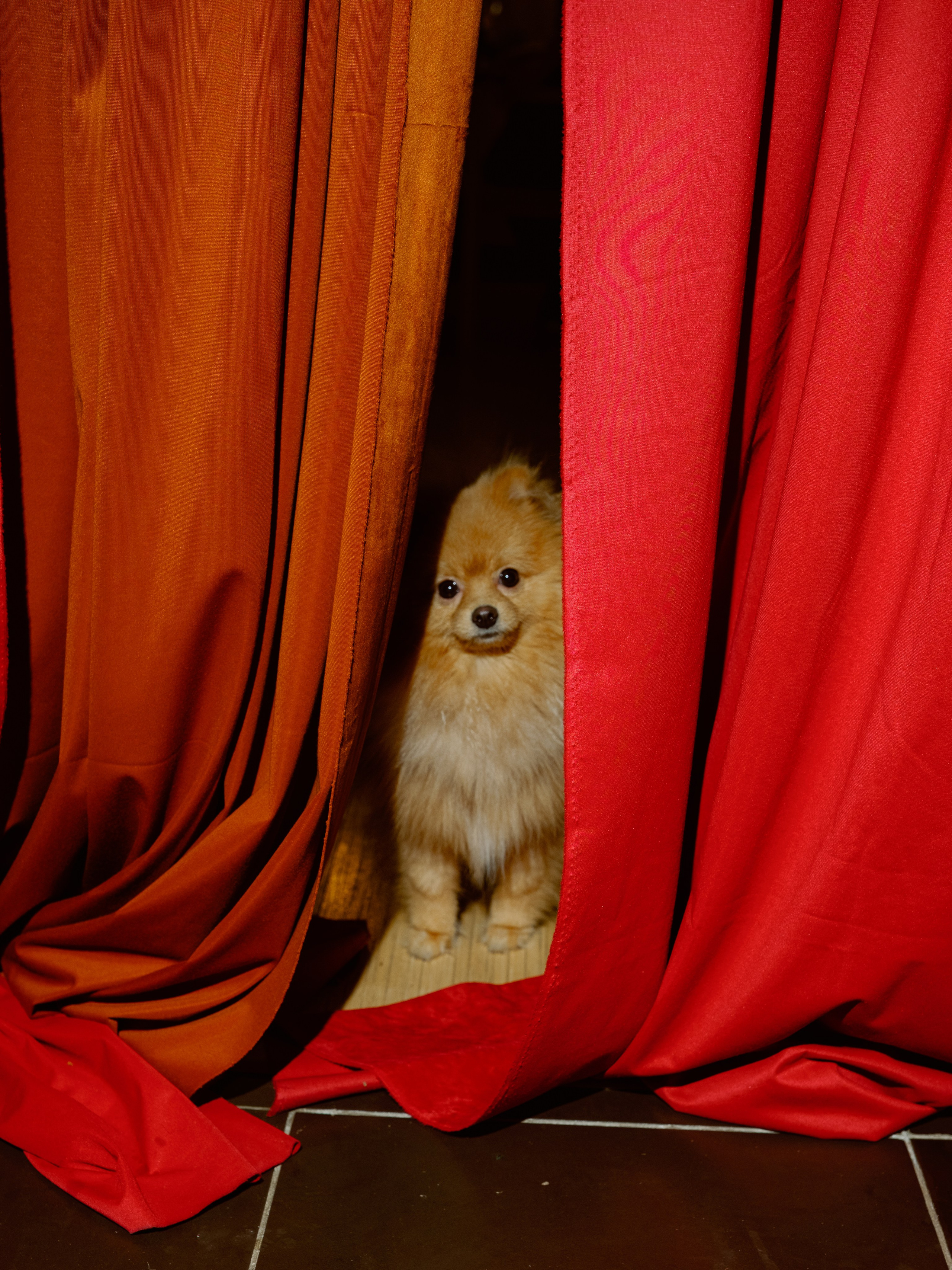 Birthday Circus. Обо мне