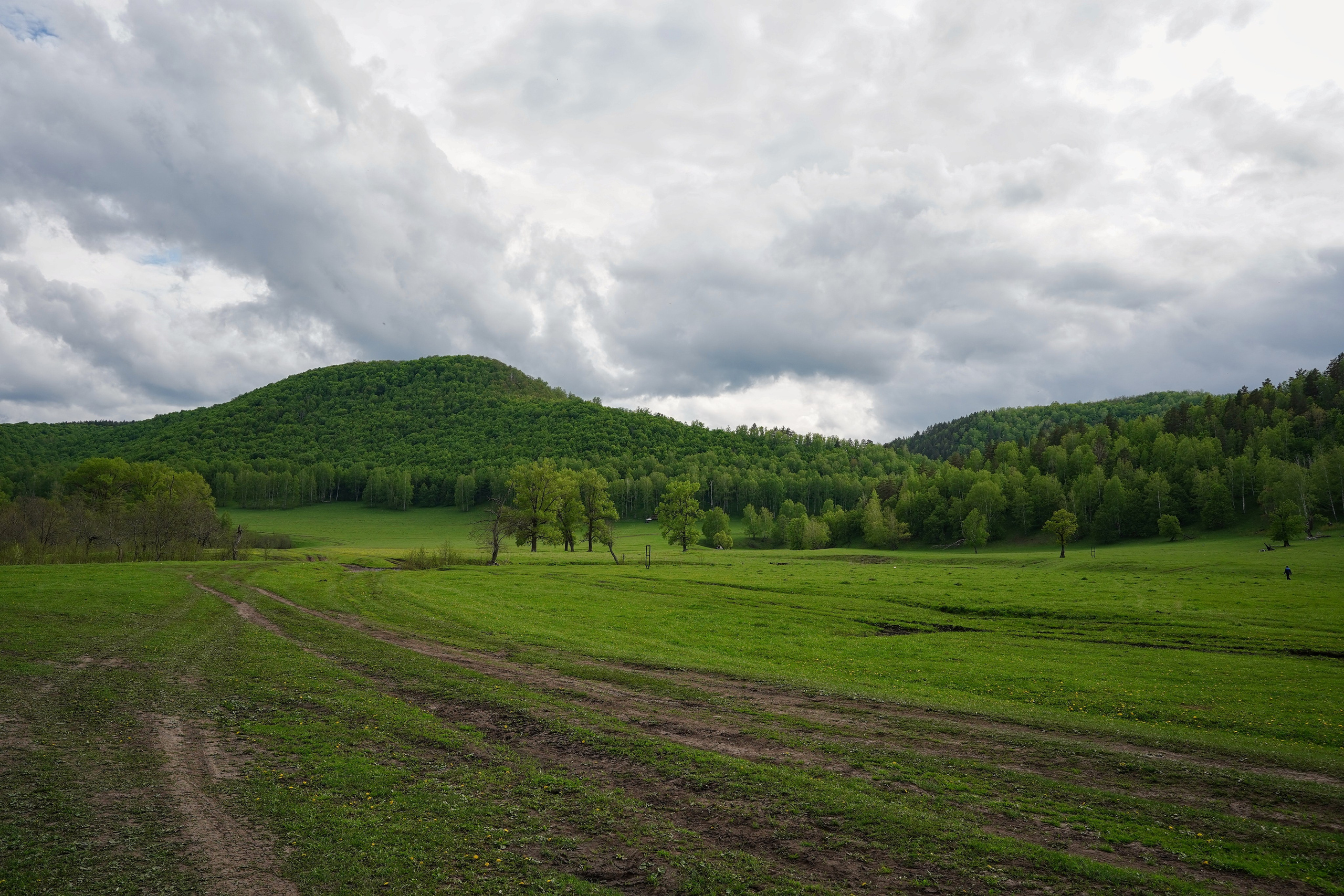 Пейзаж. Pupov.png