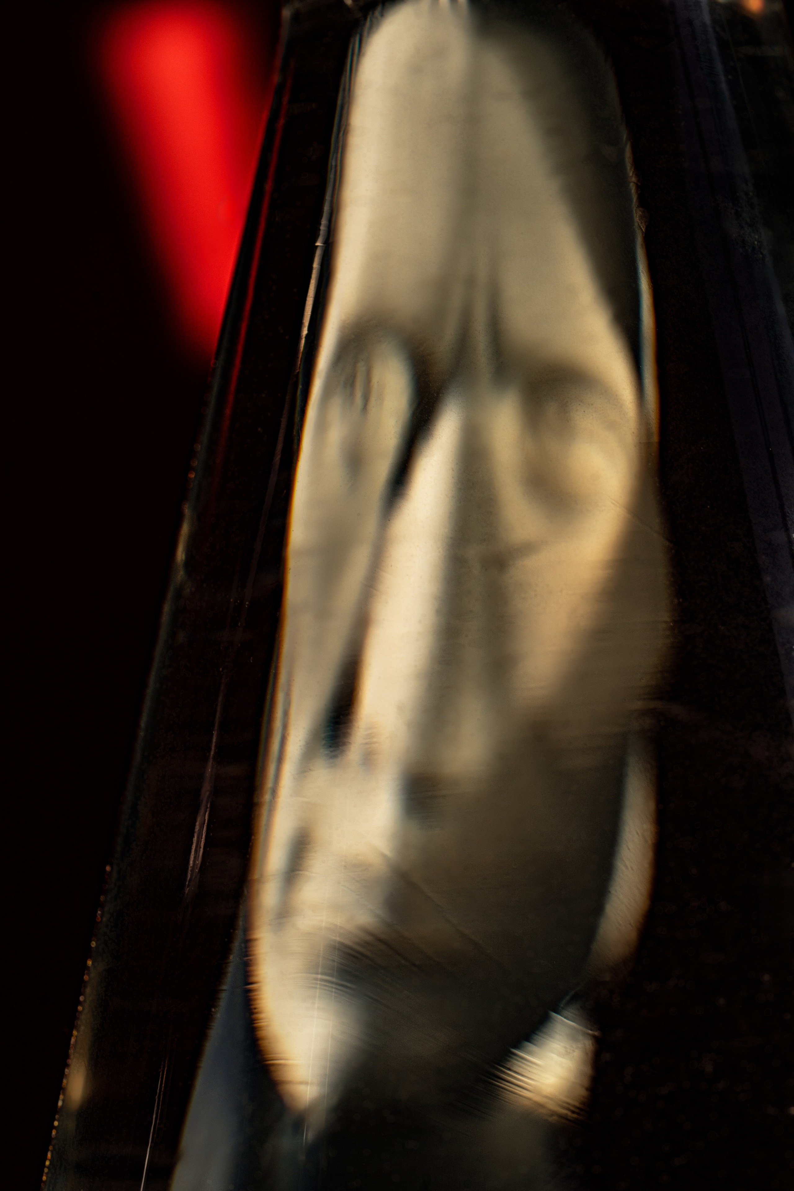 Сны Греции — исследование визуального восприятия. Яна Каменская