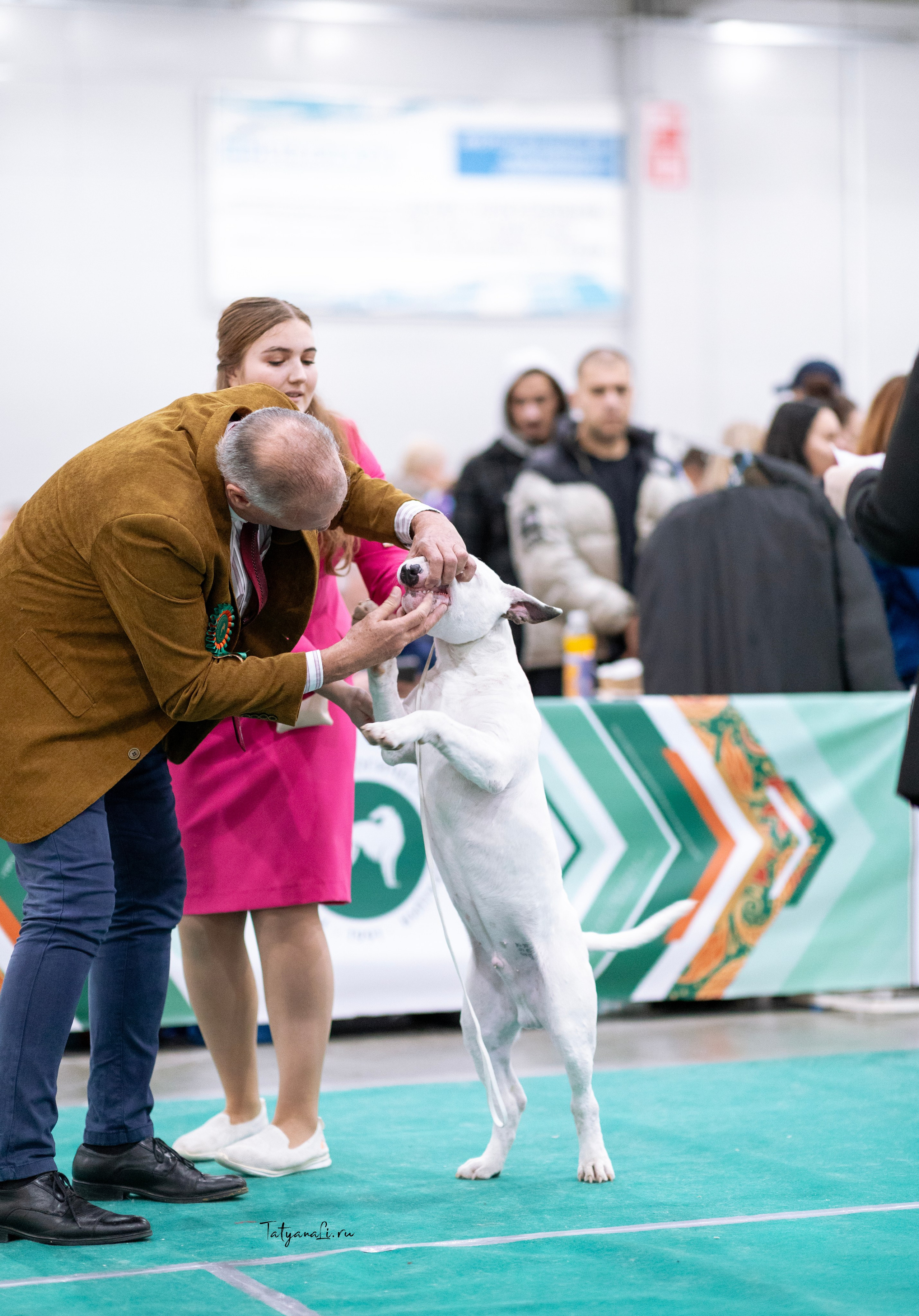 Евразия. Фотограф — анималист Татьяна Ли