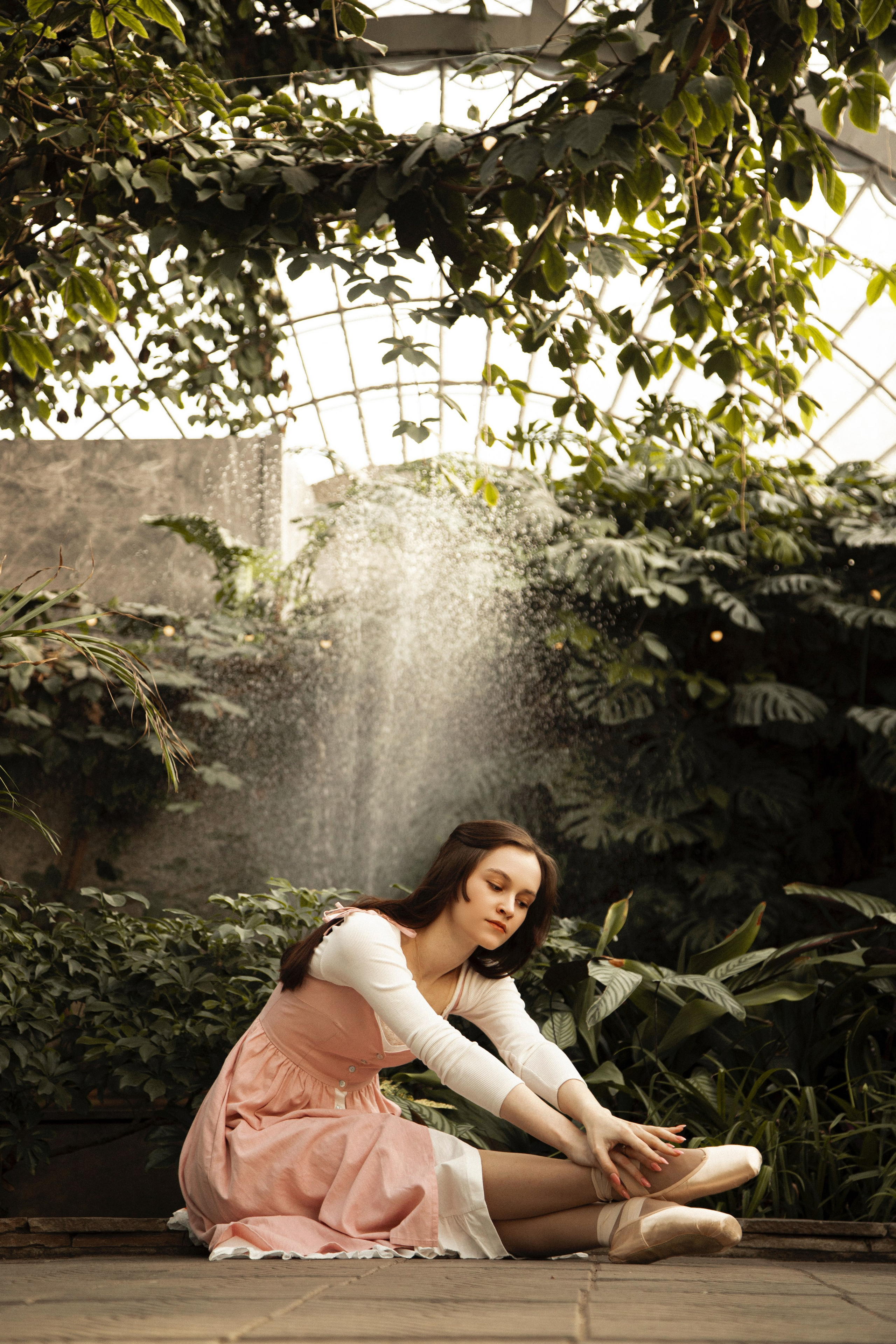 Оранжерея Таврического сада