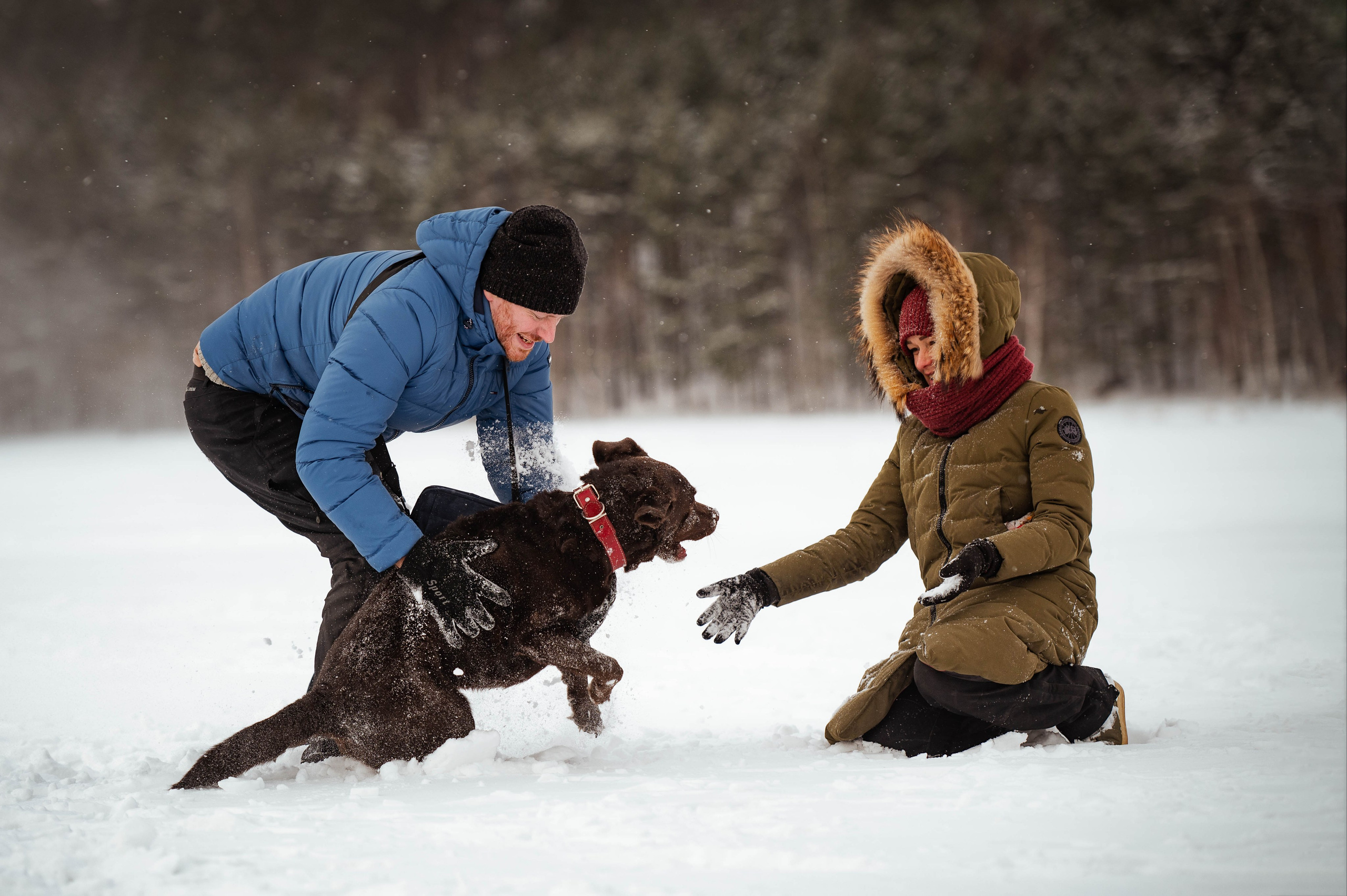 Прогулка на Лыткаринском карьере. Фотограф-анималист