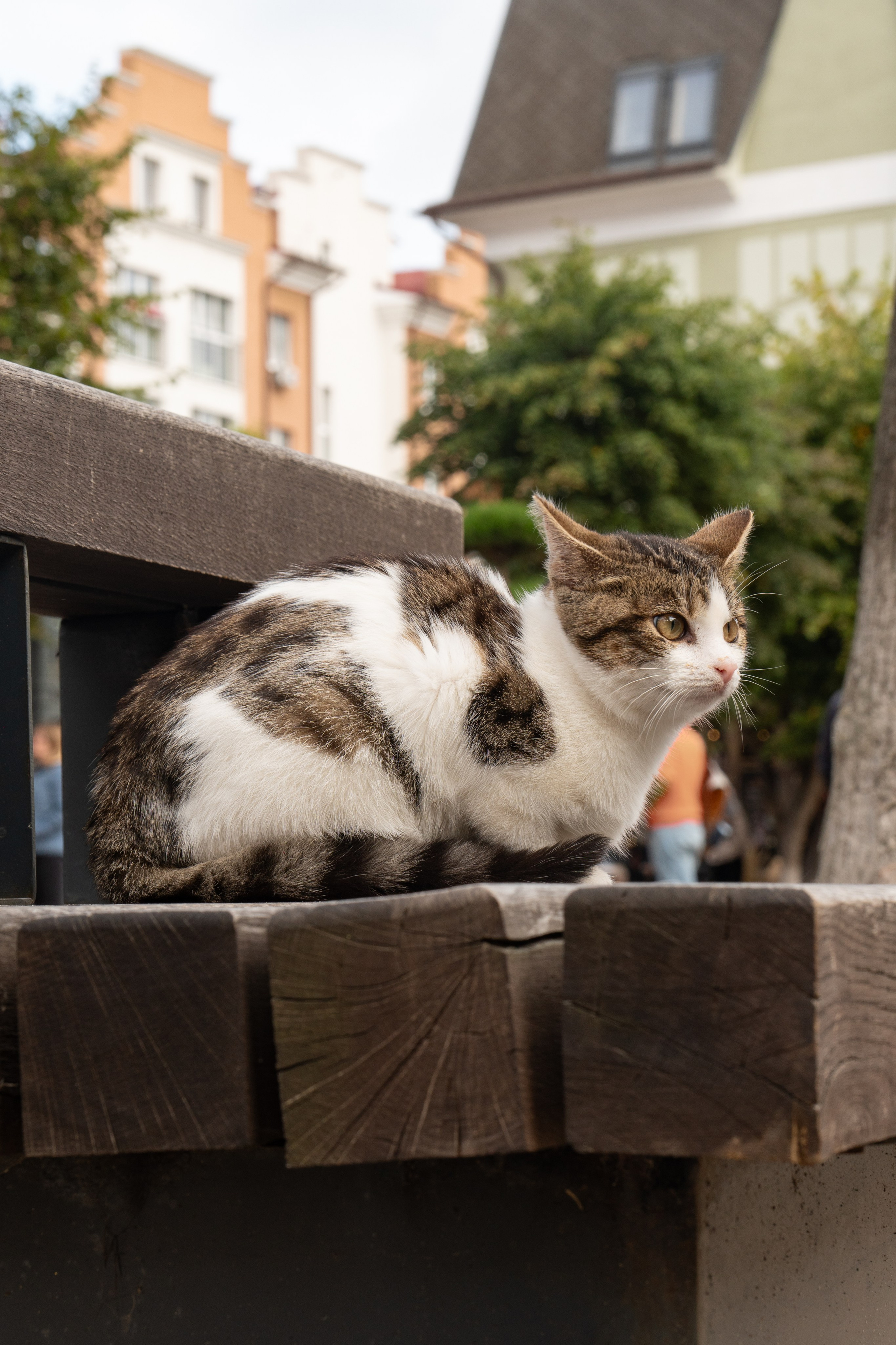 Калининградская область. Gusarov Travel Photography