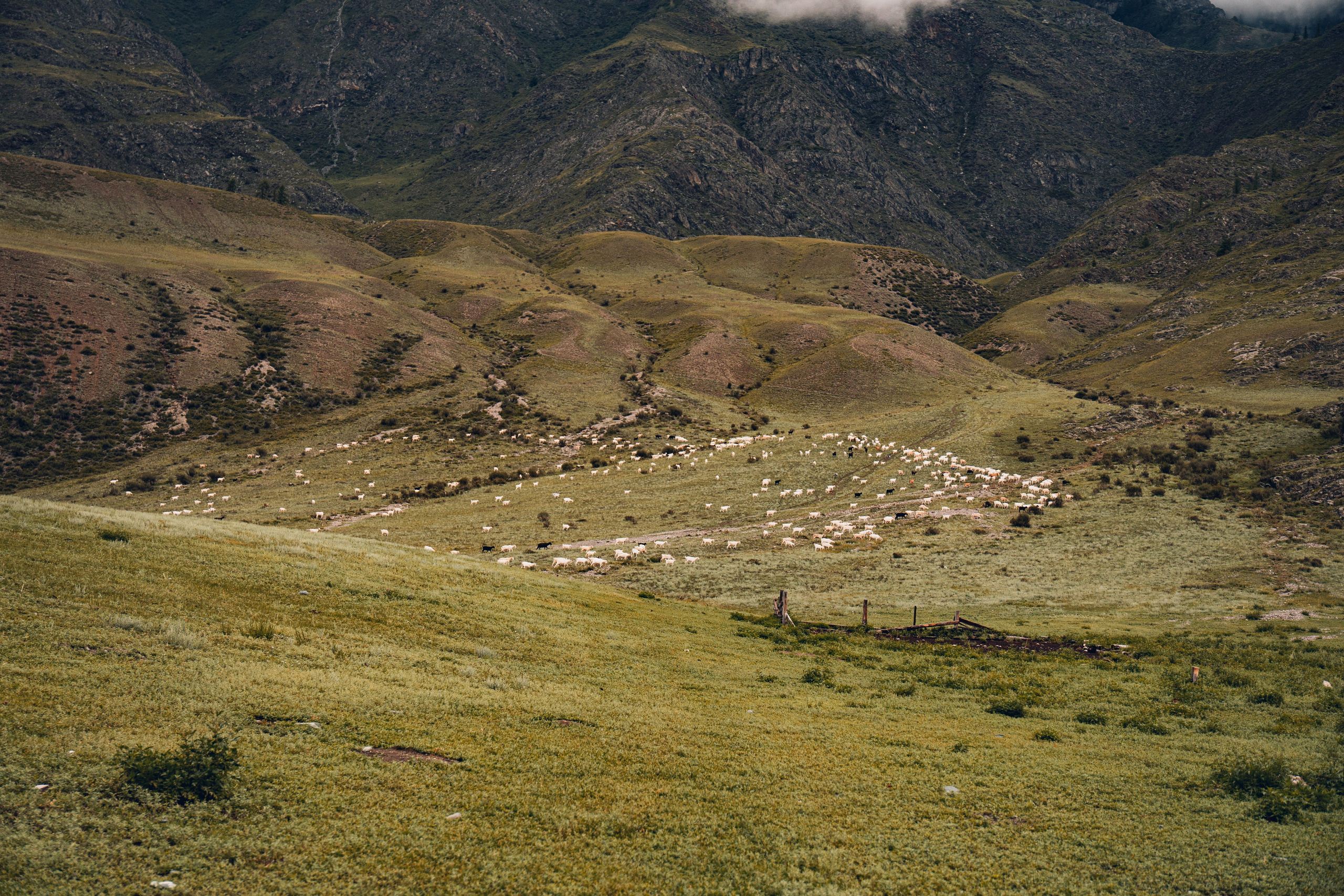 Алтай. Gusarov Travel Photography