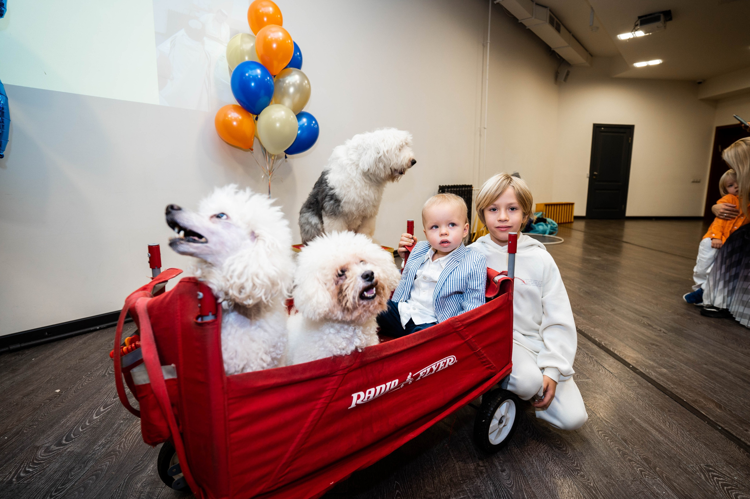 Даниэль h-day. Фотограф Абакумова Анастасия