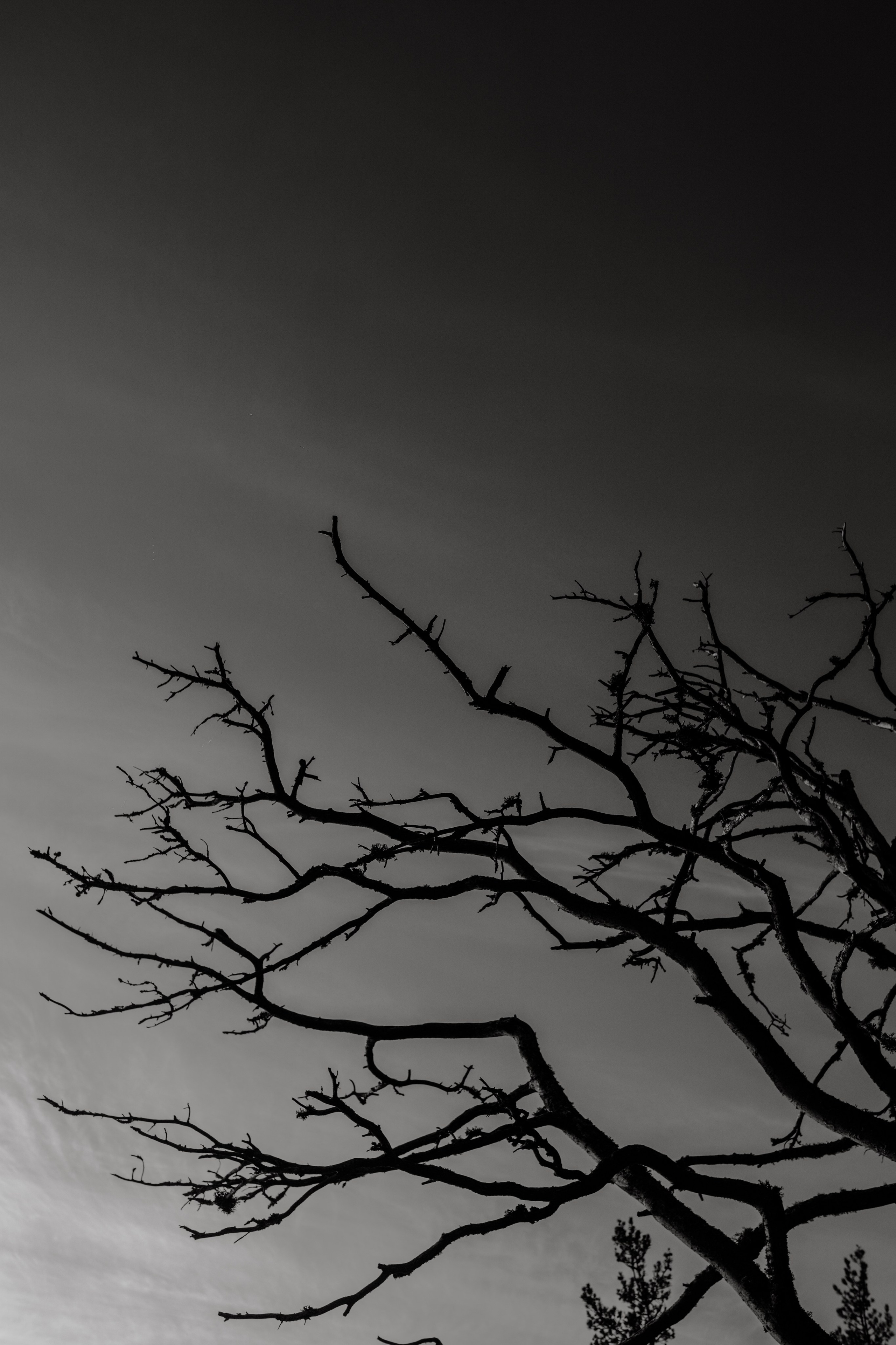 EXHIBITION. Репортажный и интерьерный фотограф, фотохудожник