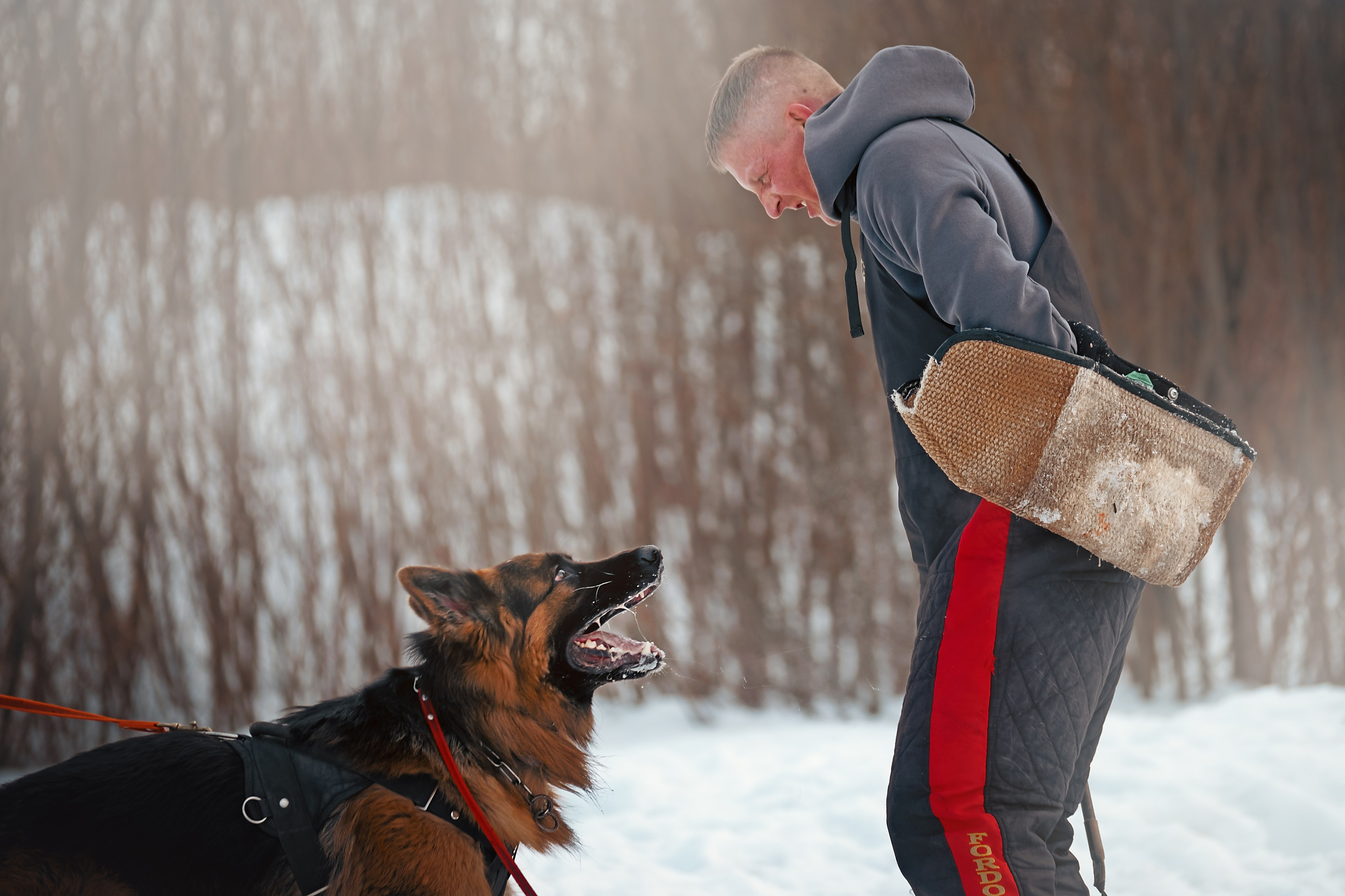 Репортажная съемка. Фотограф-анималист Нижний Новгород