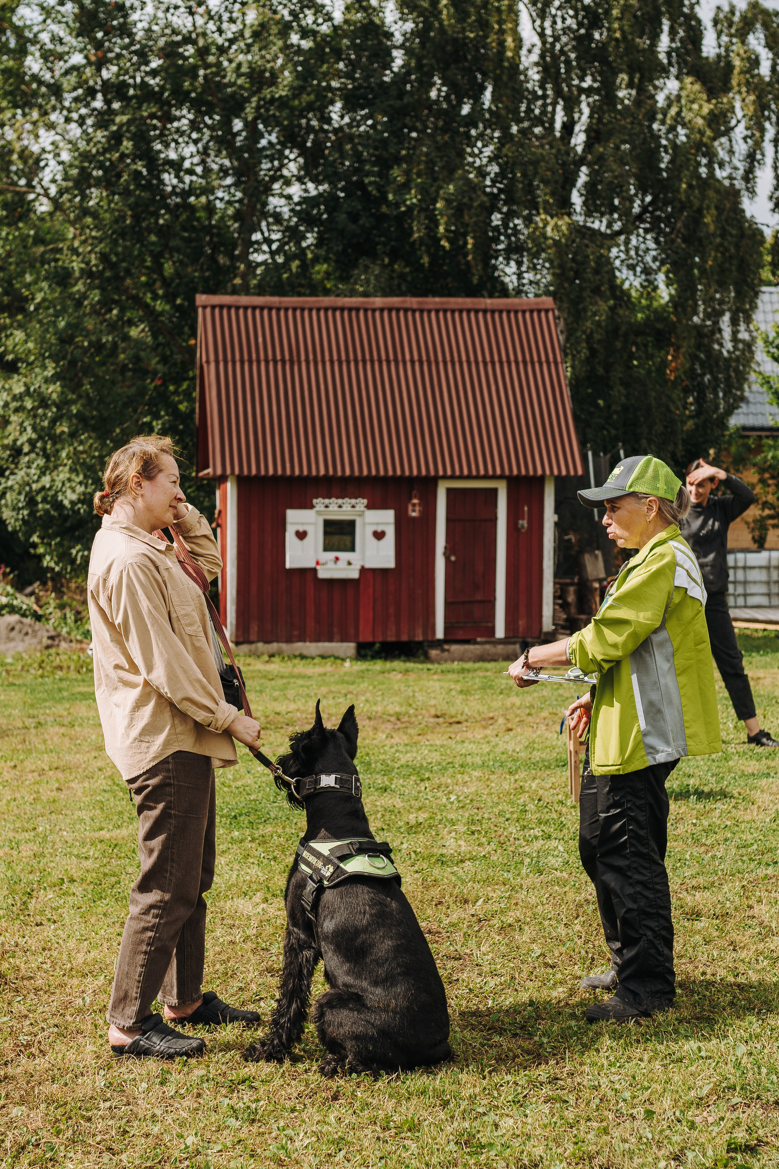 Соревнования по ноузворку в Новожилово. Фотограф анималист в Спб недорого Олеся Майорова