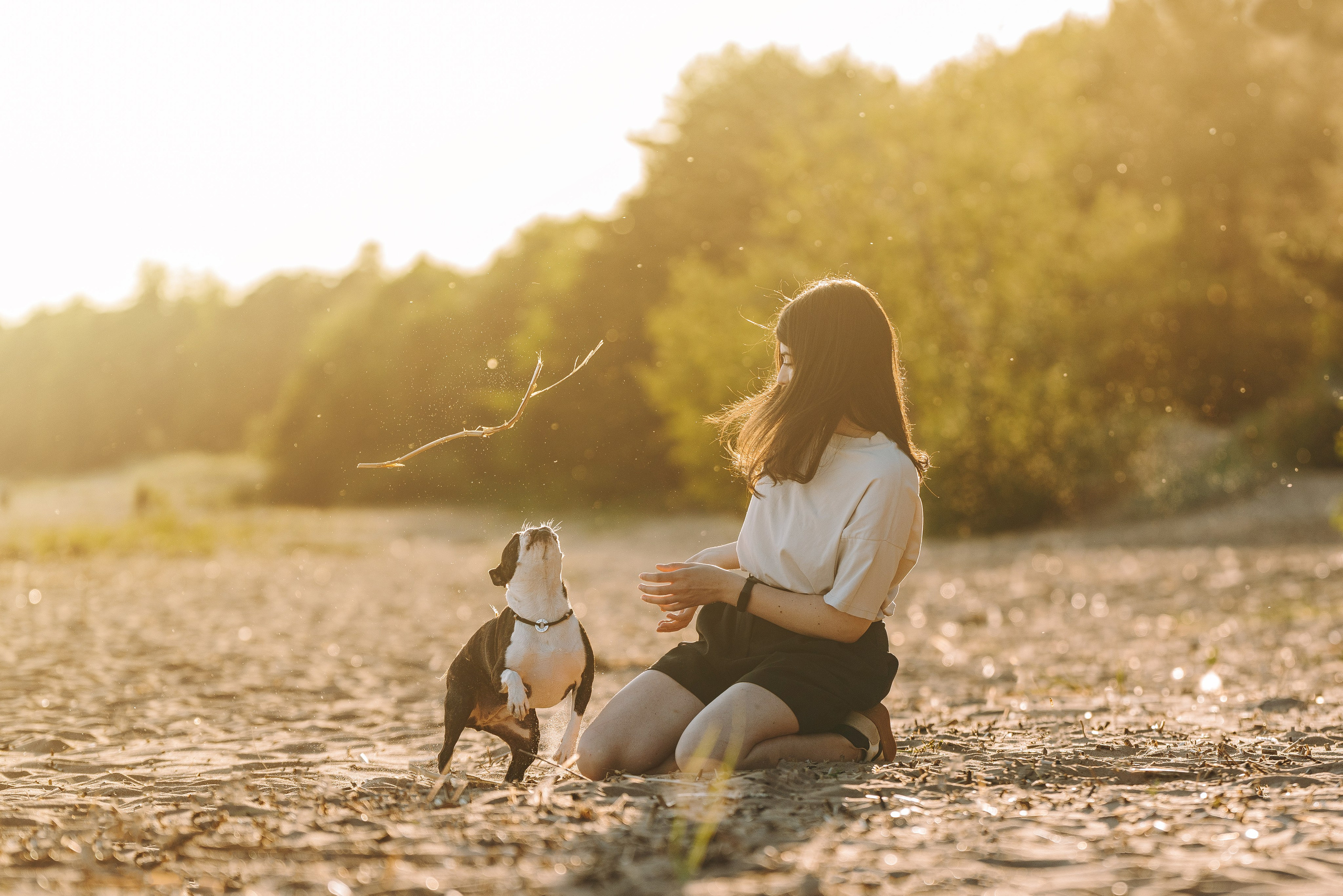 Анаита и Дора. Фотограф анималист в Спб недорого Олеся Майорова