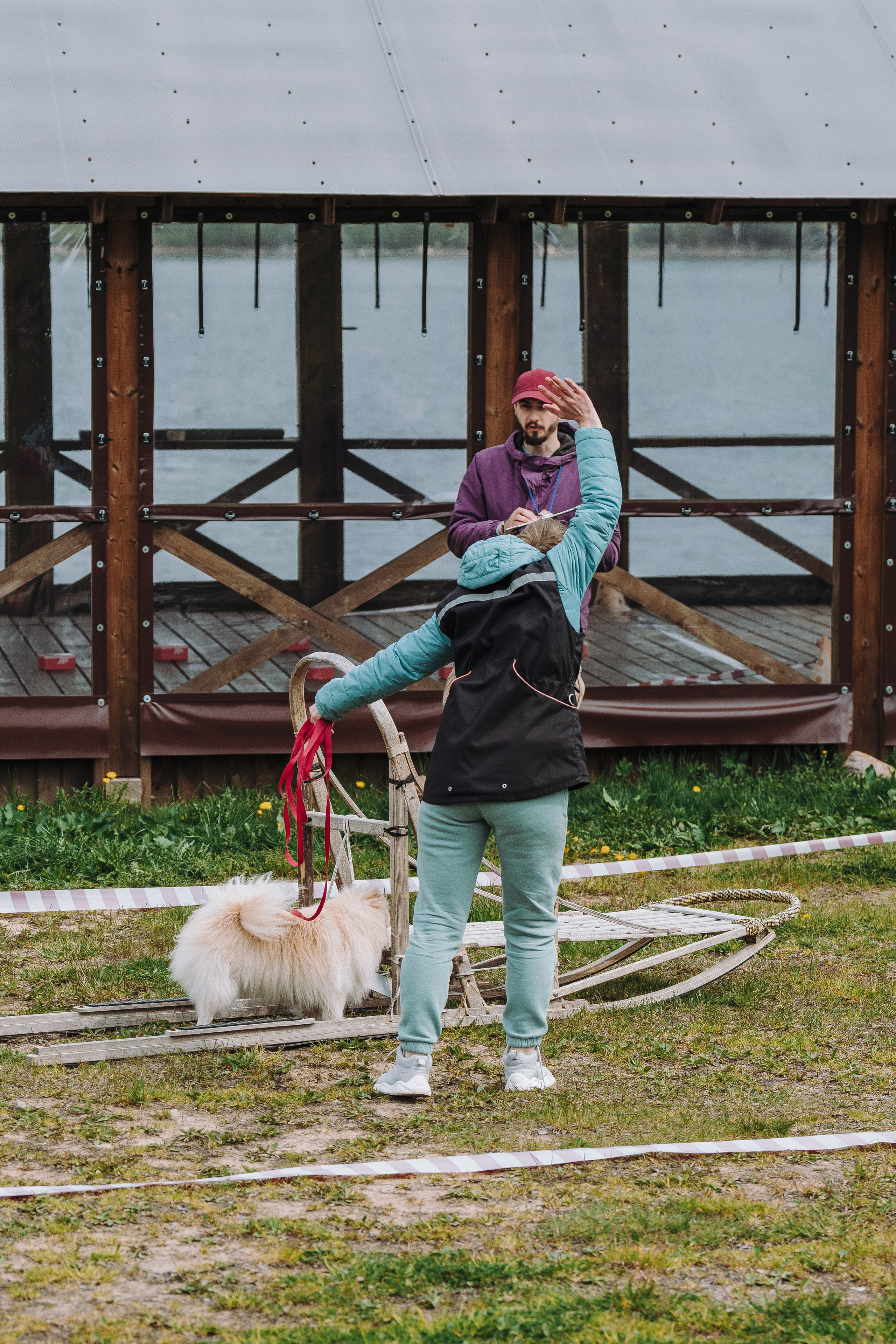 Соревнования по ноузворку в Лосево. Фотограф анималист в Спб недорого Олеся Майорова