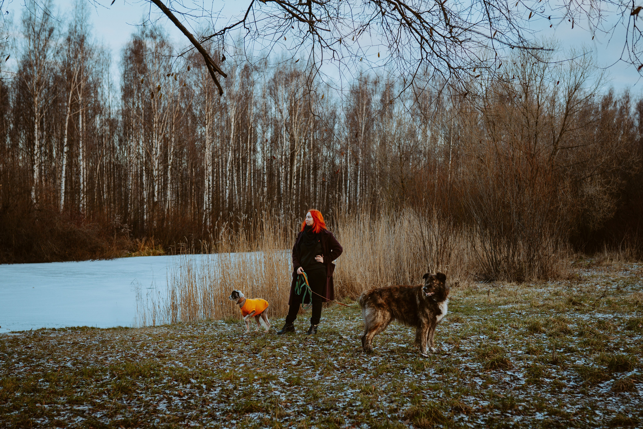 Творческая фотосессия фотографа анималиста. Фотограф анималист в Спб недорого Олеся Майорова