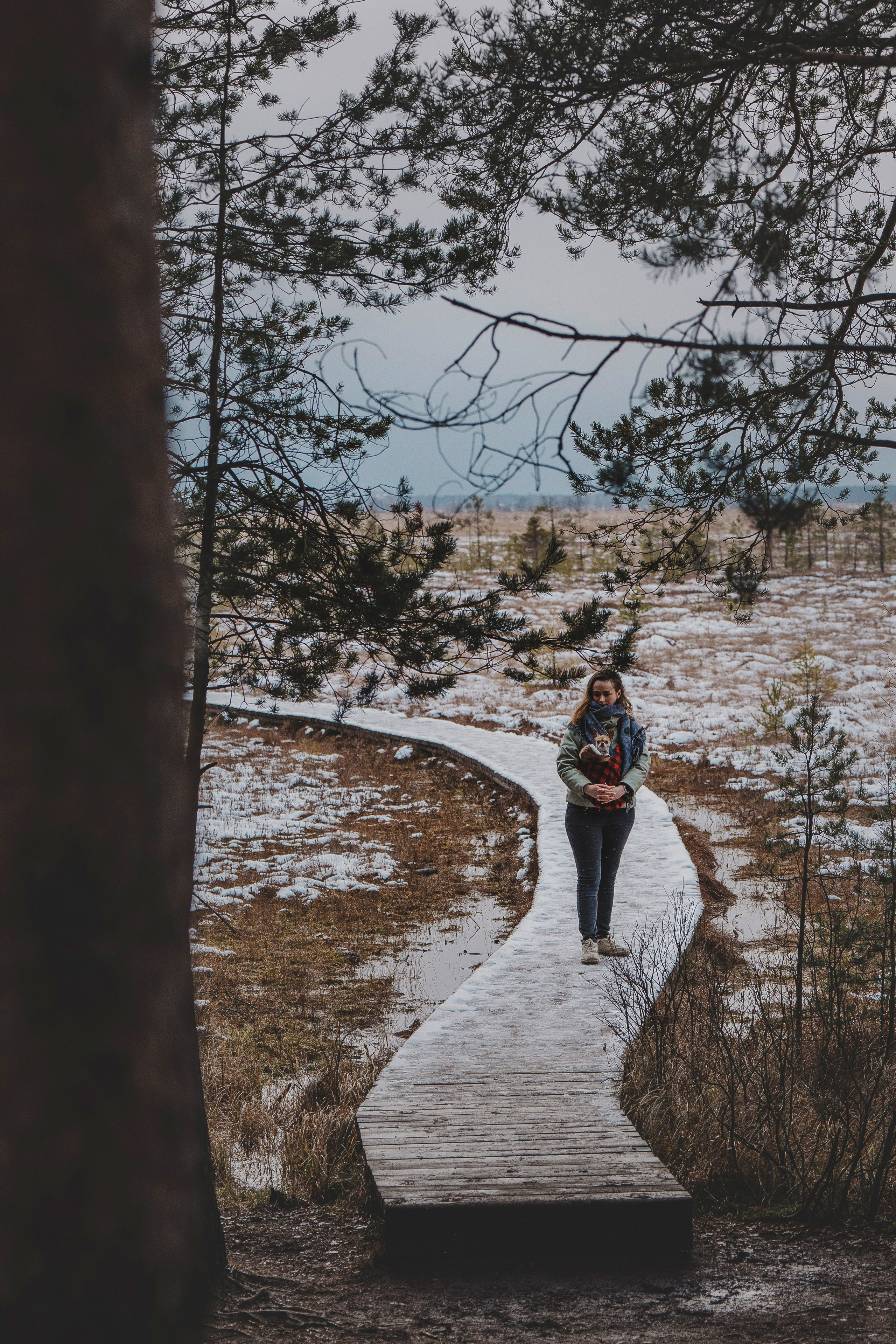 Наталия и Боря. Фотограф анималист в Спб недорого Олеся Майорова