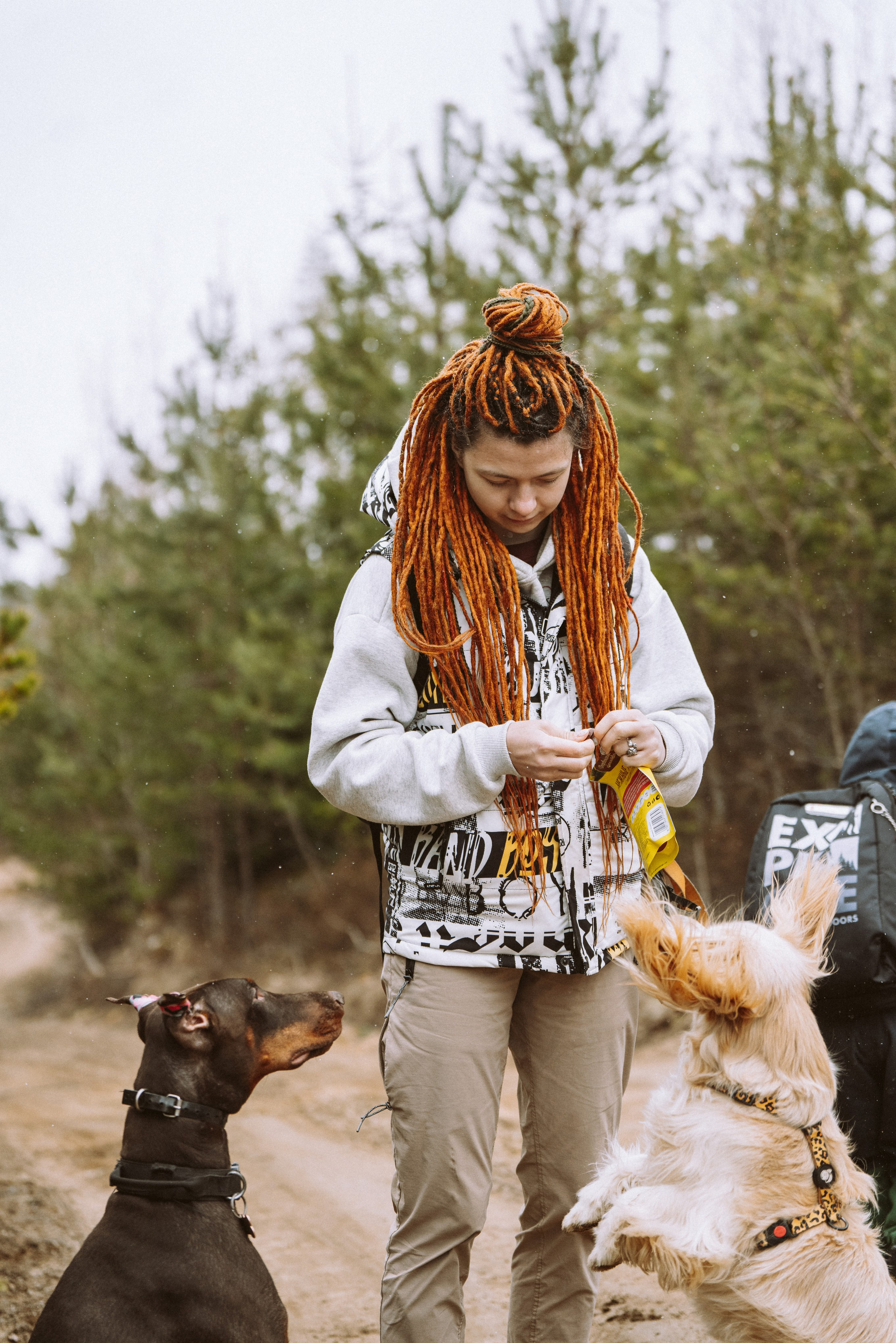 Дог трекинг к финскому хутору. Фотограф анималист в Спб недорого Олеся Майорова