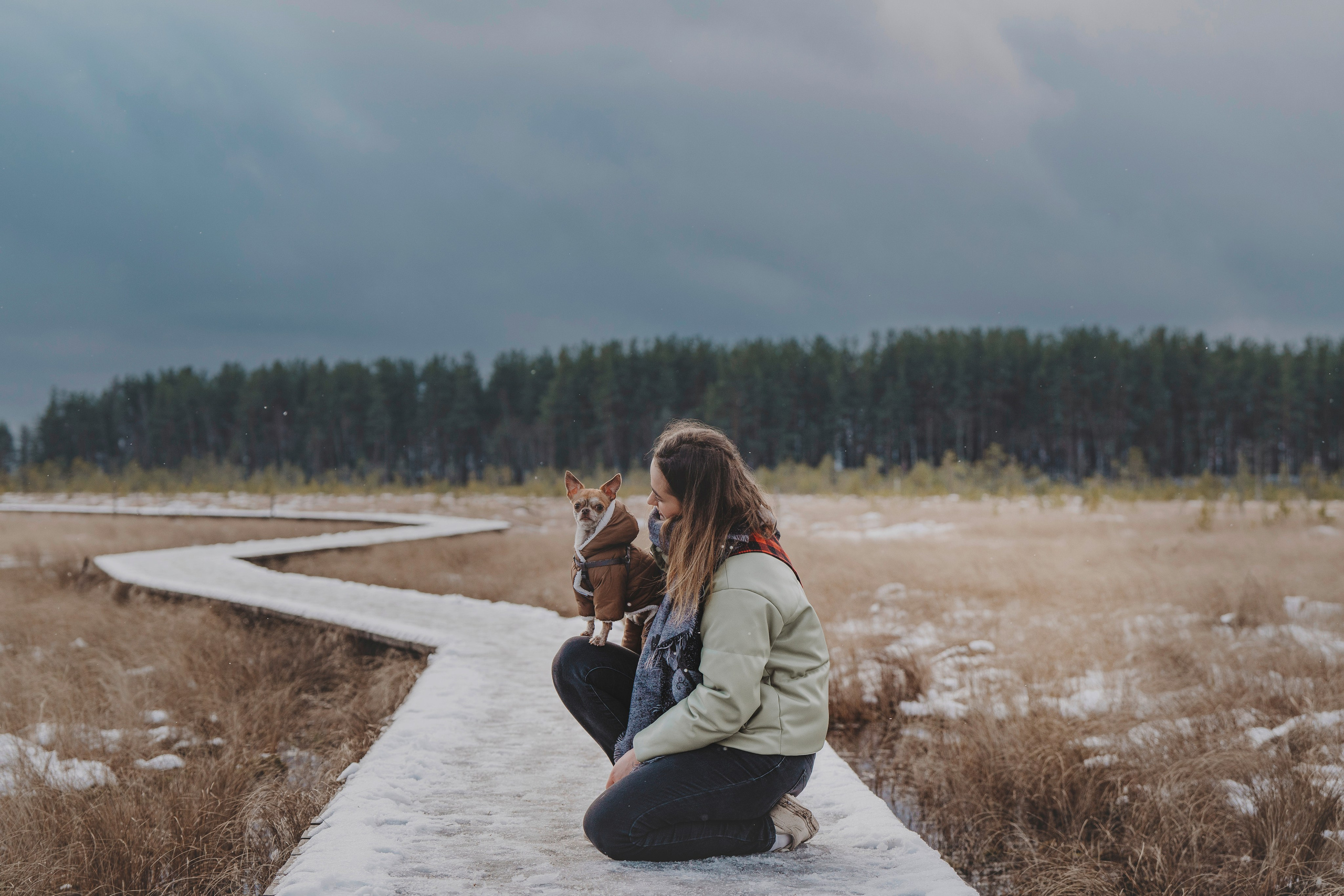 Наталия и Боря. Фотограф анималист в Спб недорого Олеся Майорова