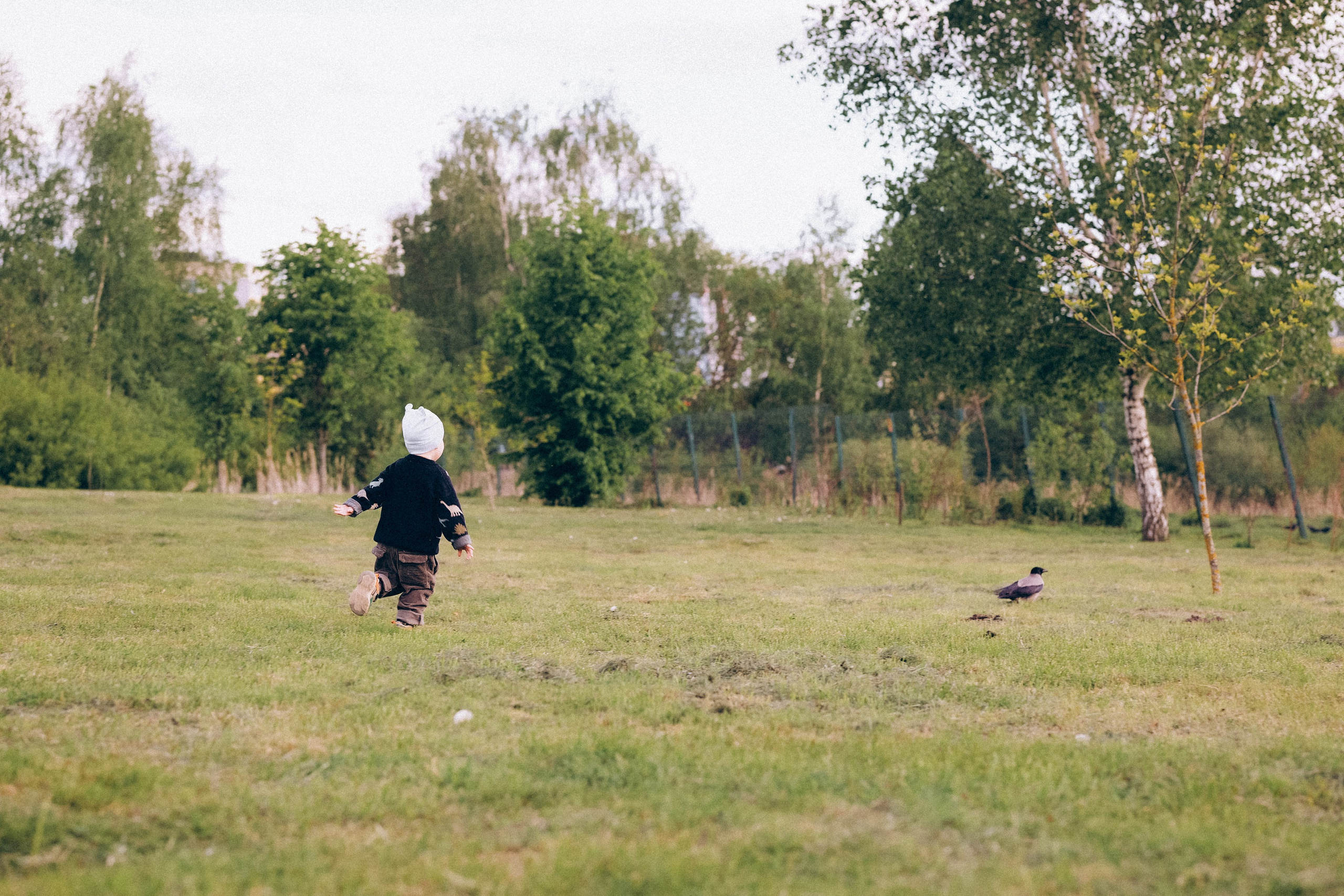 Семейная прогулка в Динопарке