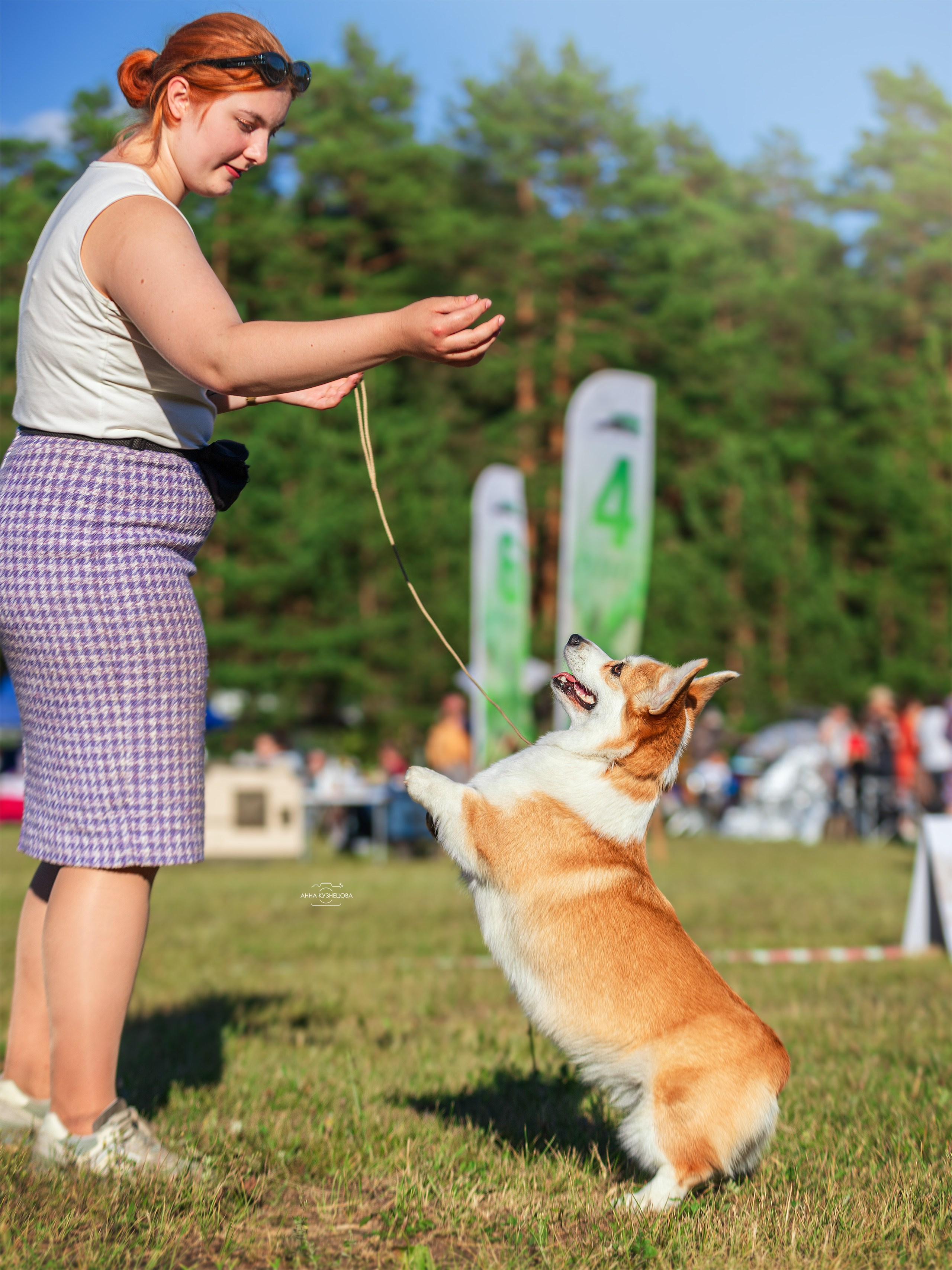 В ринге. Фотограф анималист Кузнецова Анна Нижний Новгород
